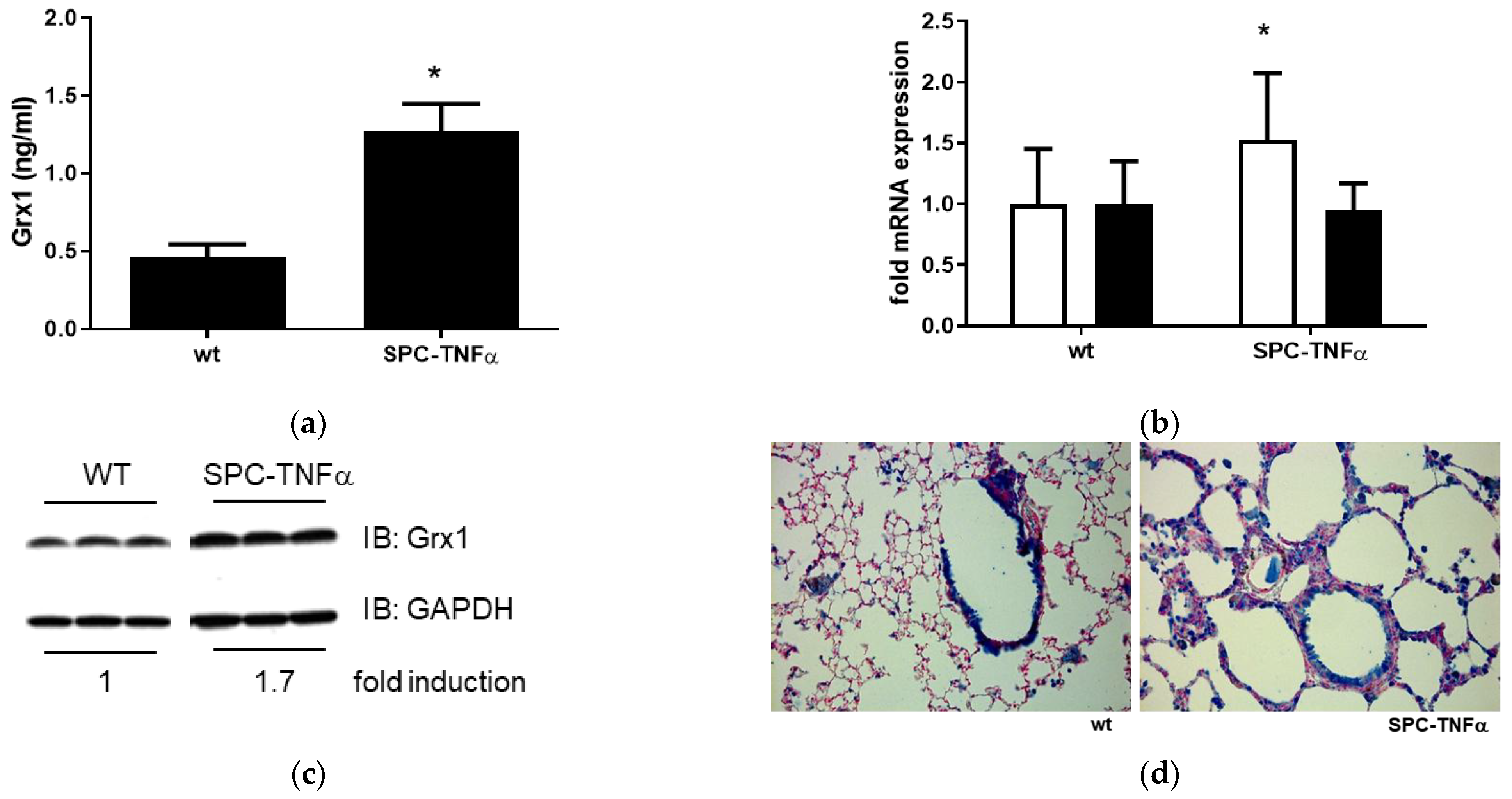Antioxidants 15 00330 g003