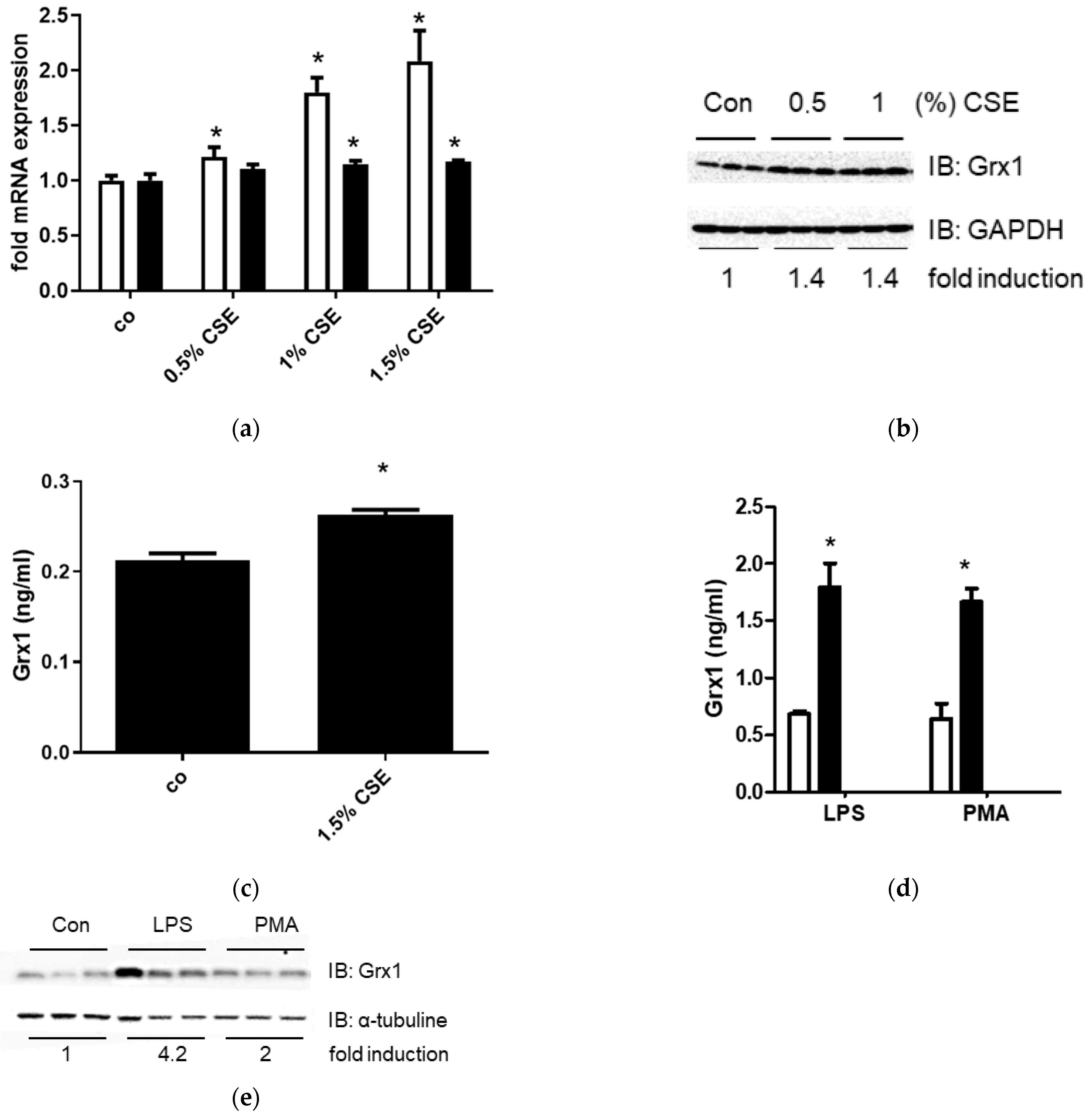 Antioxidants 15 00330 g004