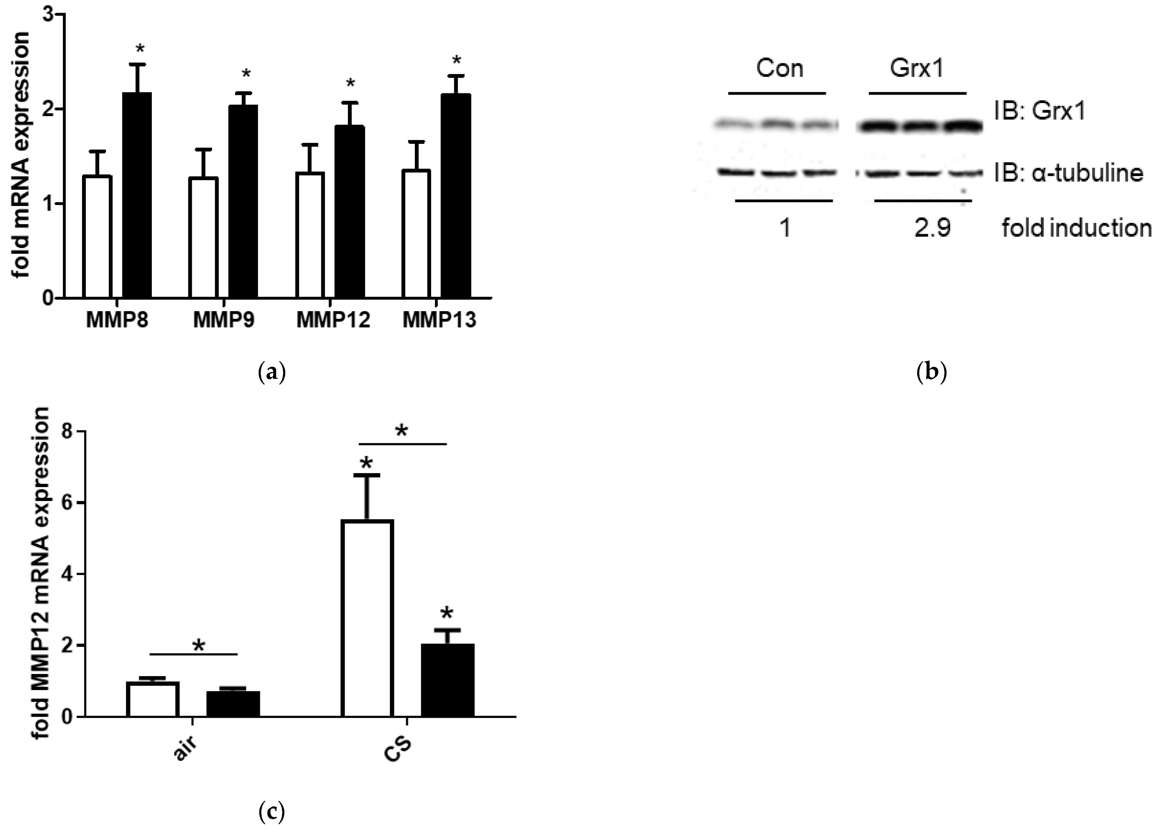 Antioxidants 15 00330 g006