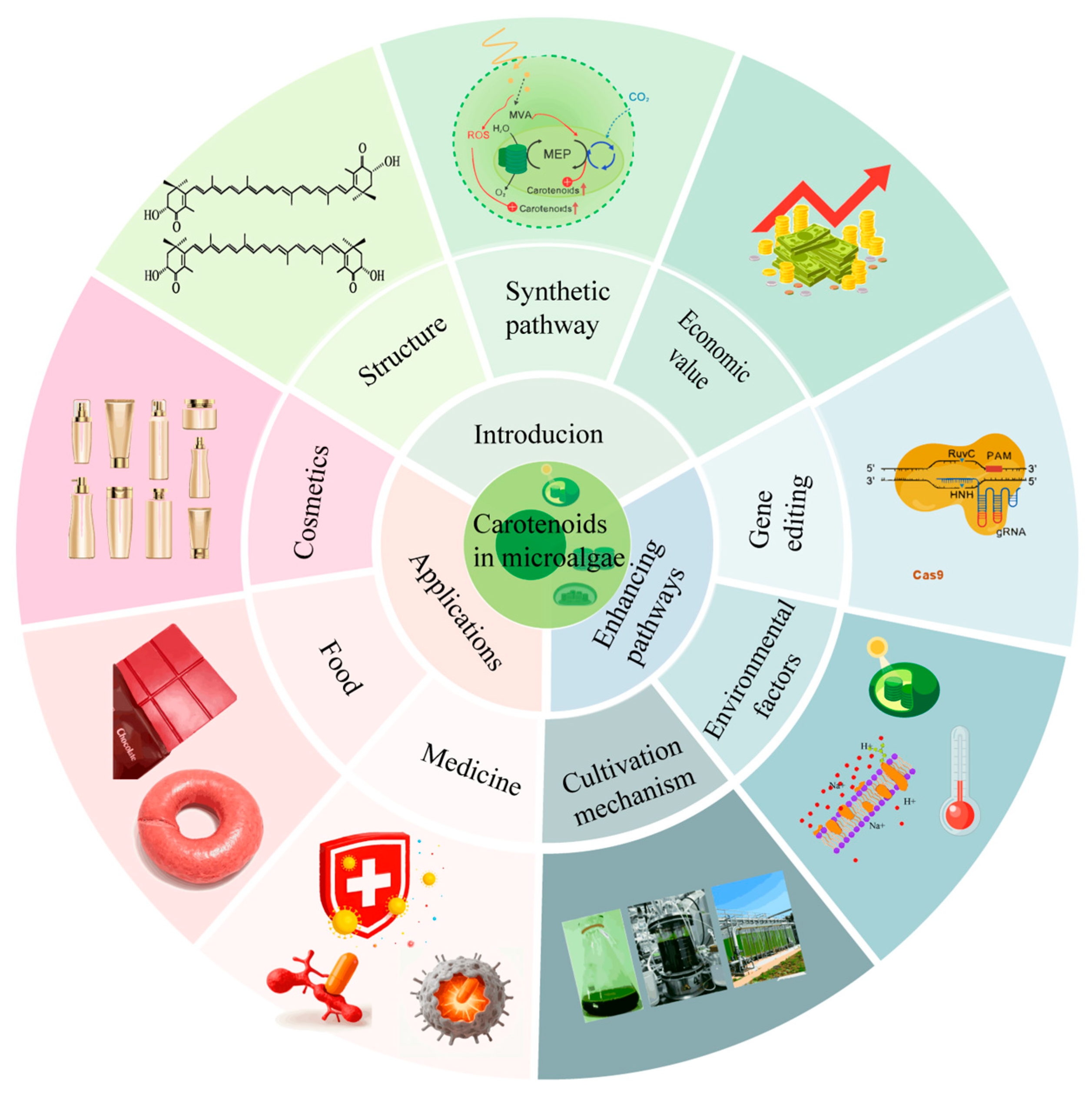 Antioxidants 15 00359 g001