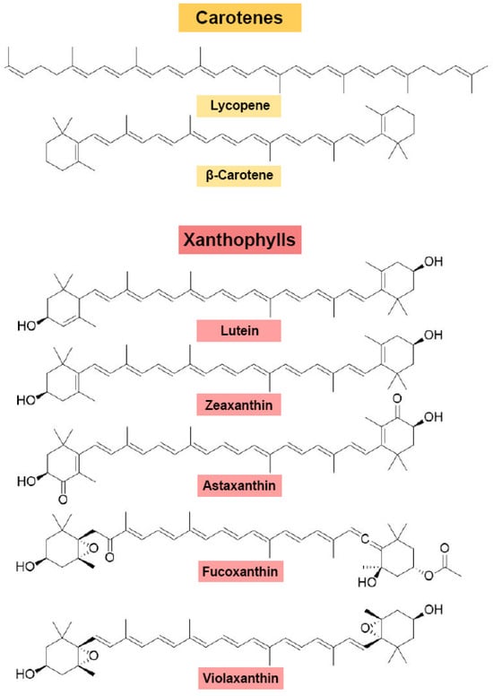 Antioxidants 15 00359 g002