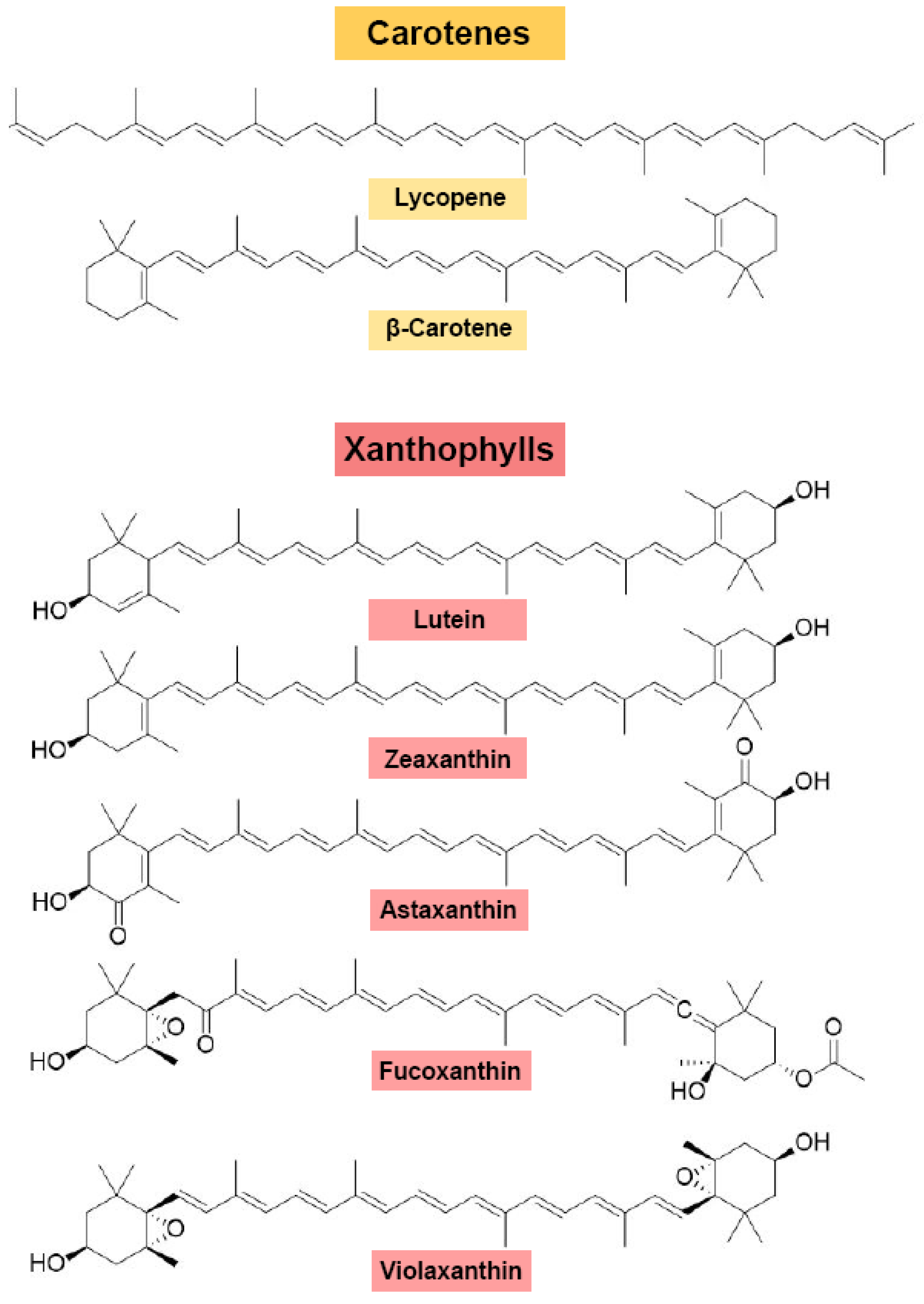 Antioxidants 15 00359 g002