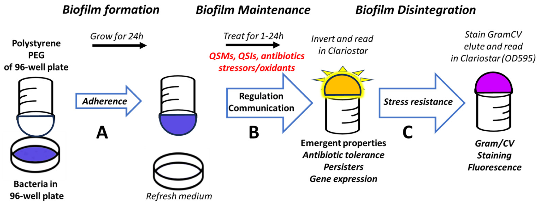 Antioxidants 15 00361 g001 Antioxidants 15 00361 g001