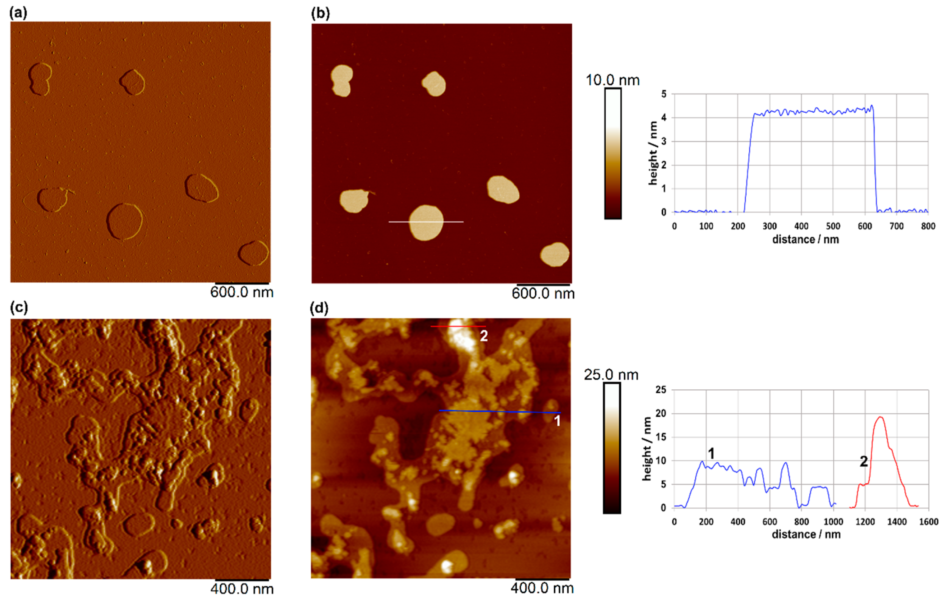 Antioxidants 15 00362 g003
