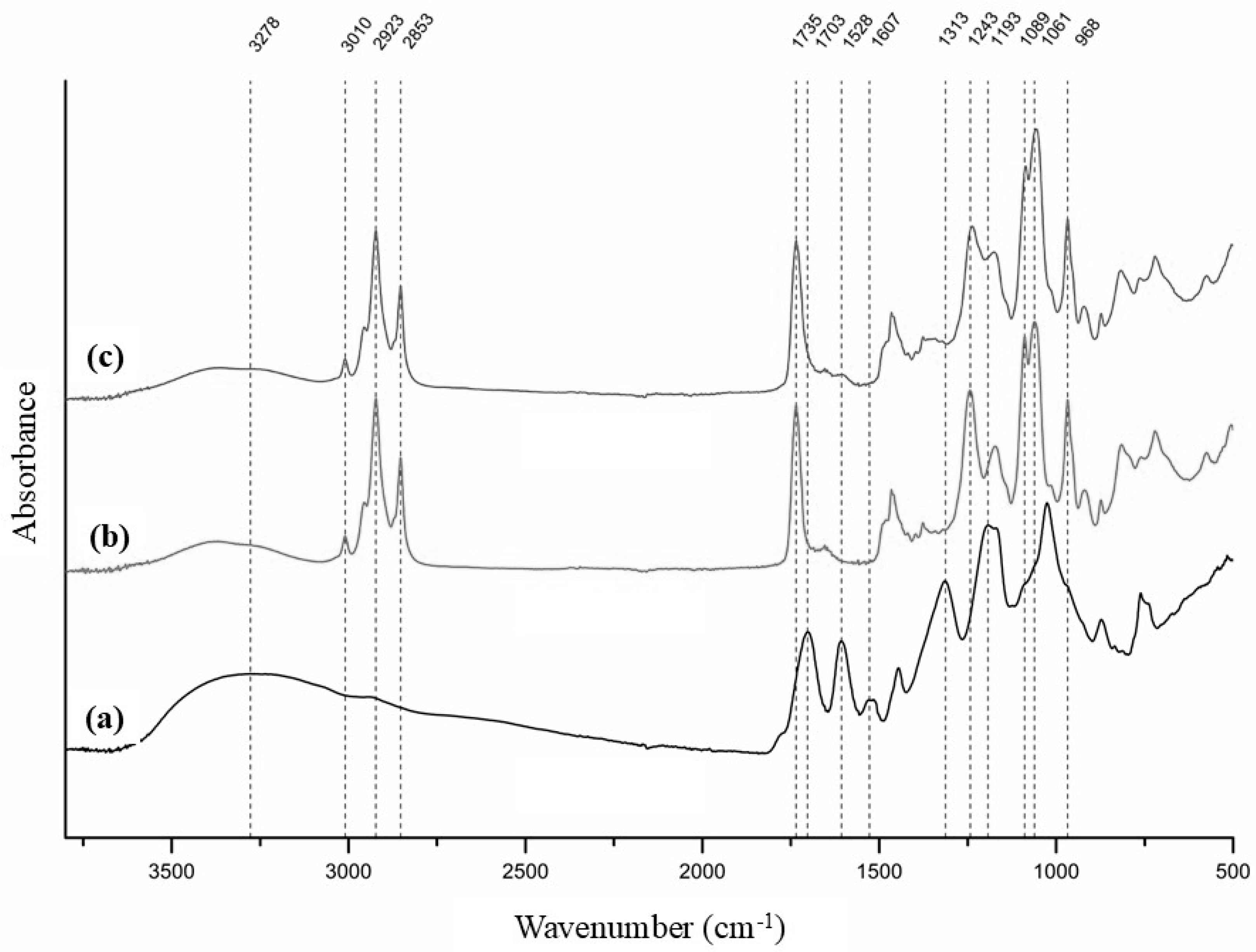 Antioxidants 15 00362 g004