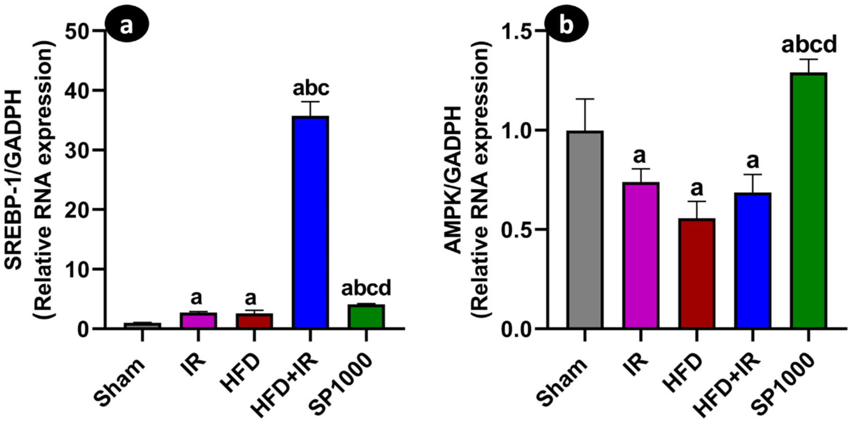 Antioxidants 15 00390 g013 Antioxidants 15 00390 g013
