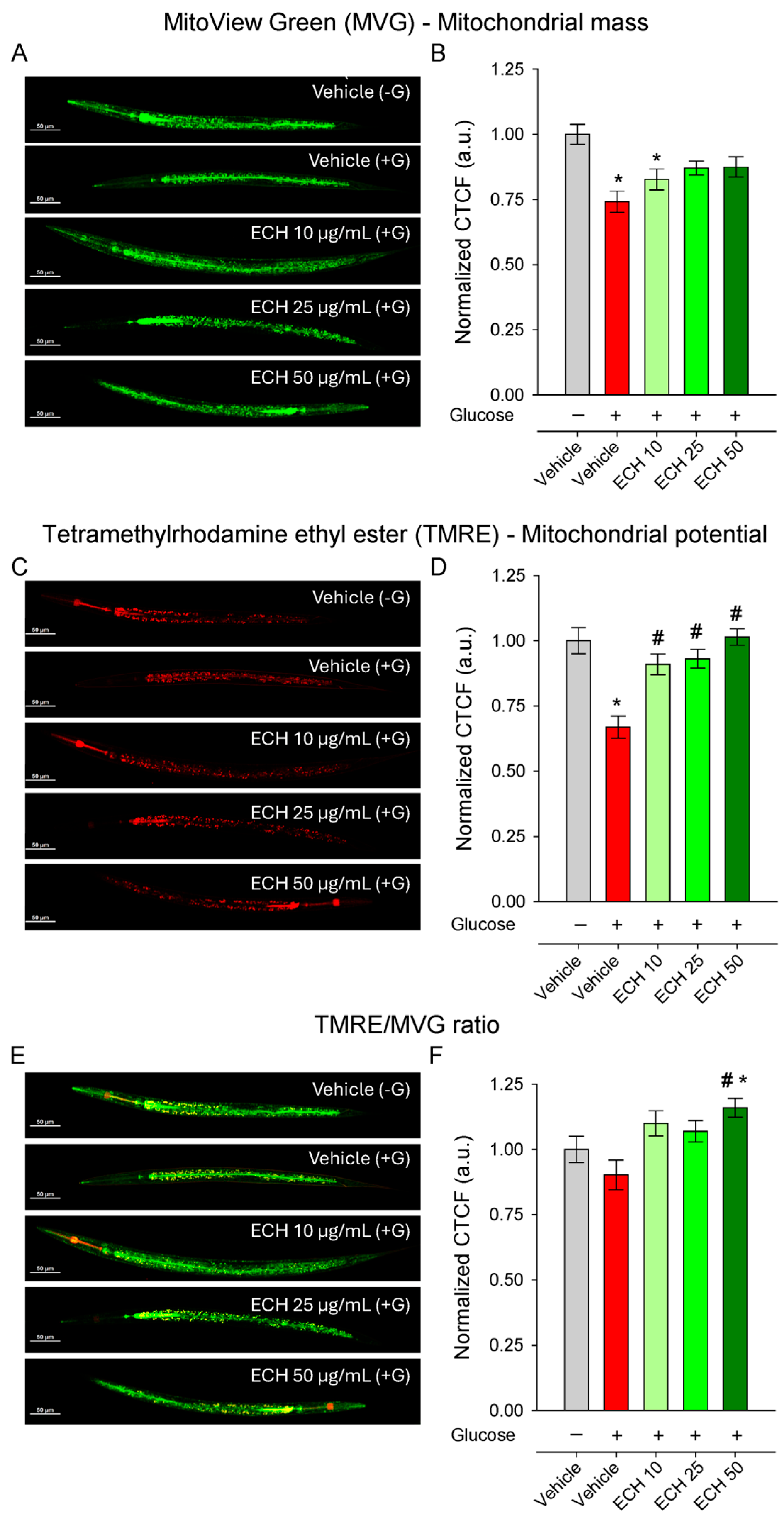 Antioxidants 15 00398 g005 Antioxidants 15 00398 g005