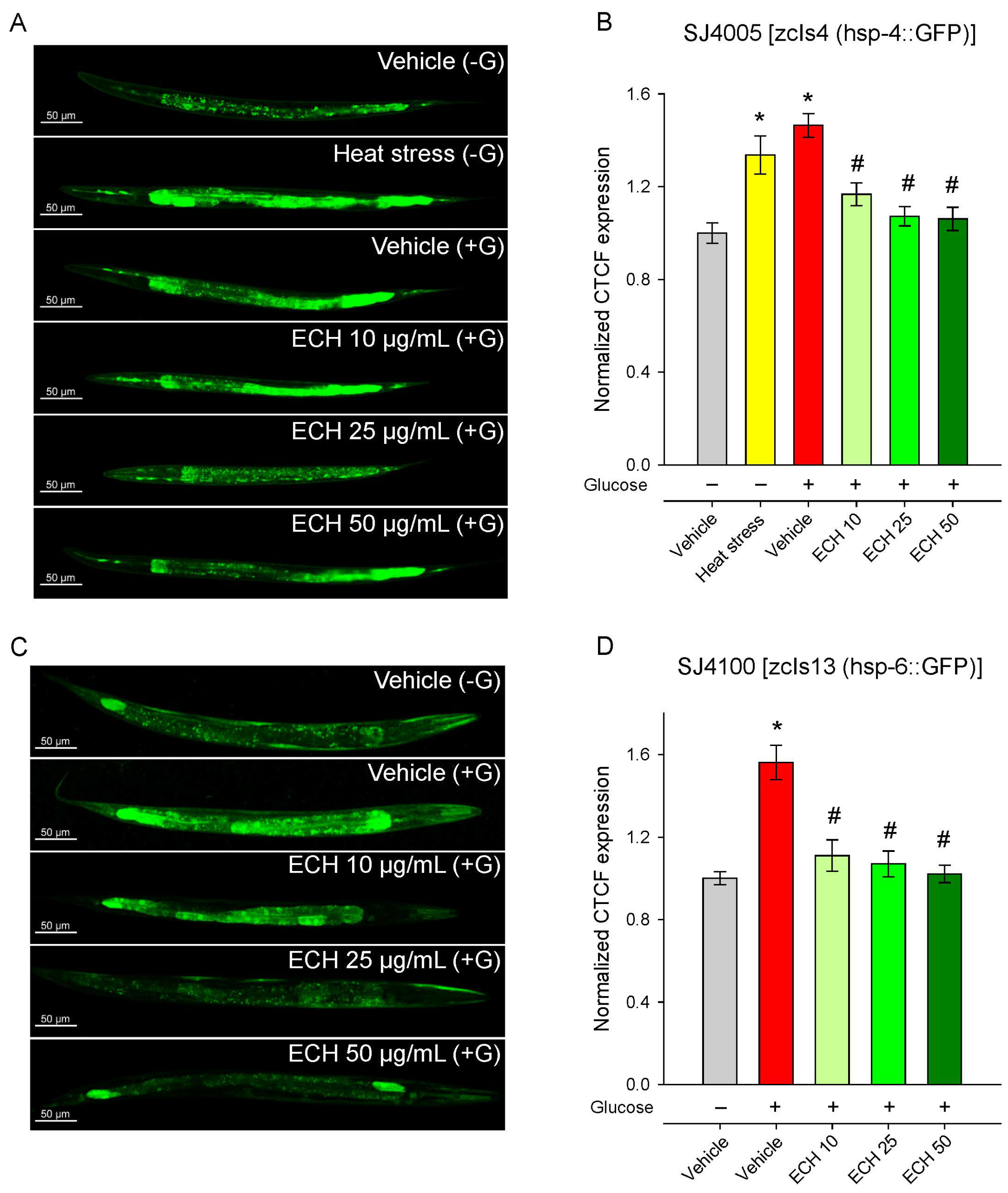 Antioxidants 15 00398 g006 Antioxidants 15 00398 g006