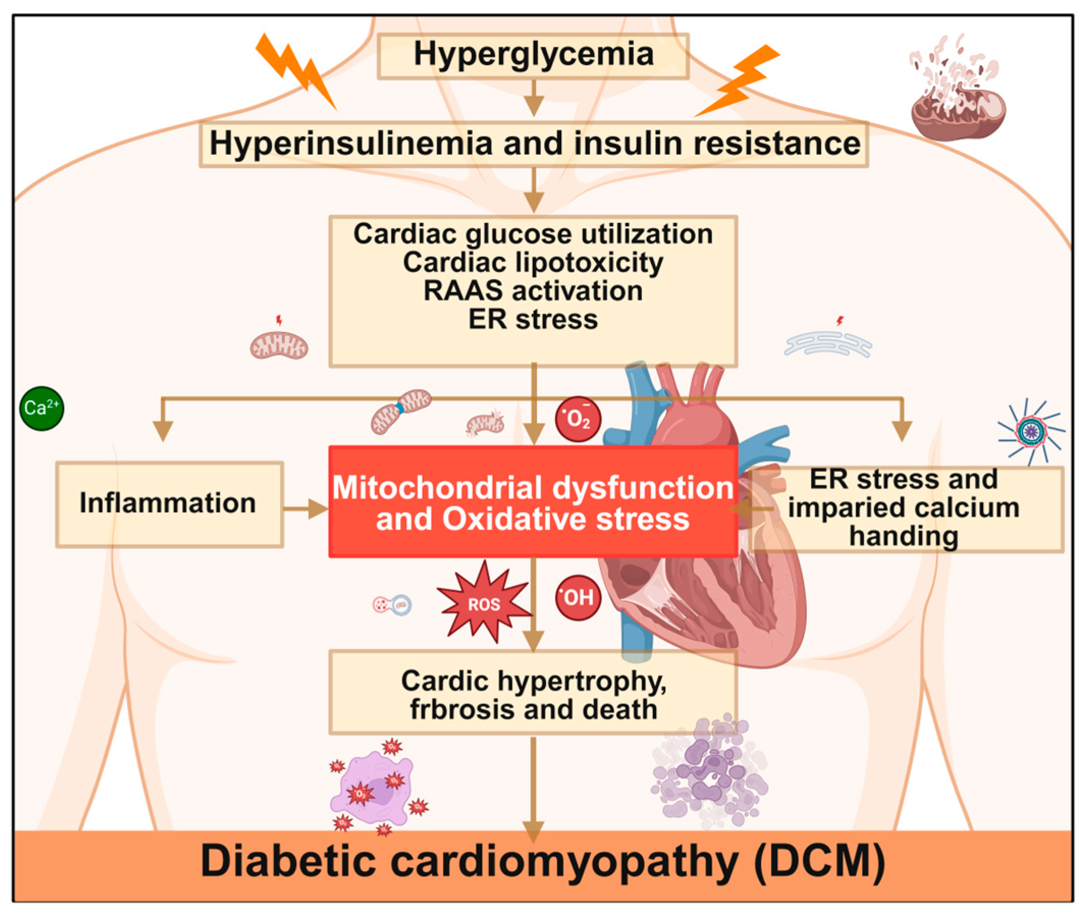 Antioxidants 15 00399 g004