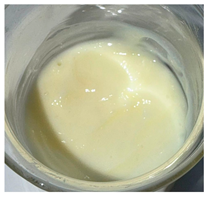 Antioxidants 15 00421 i009 Antioxidants 15 00421 i009