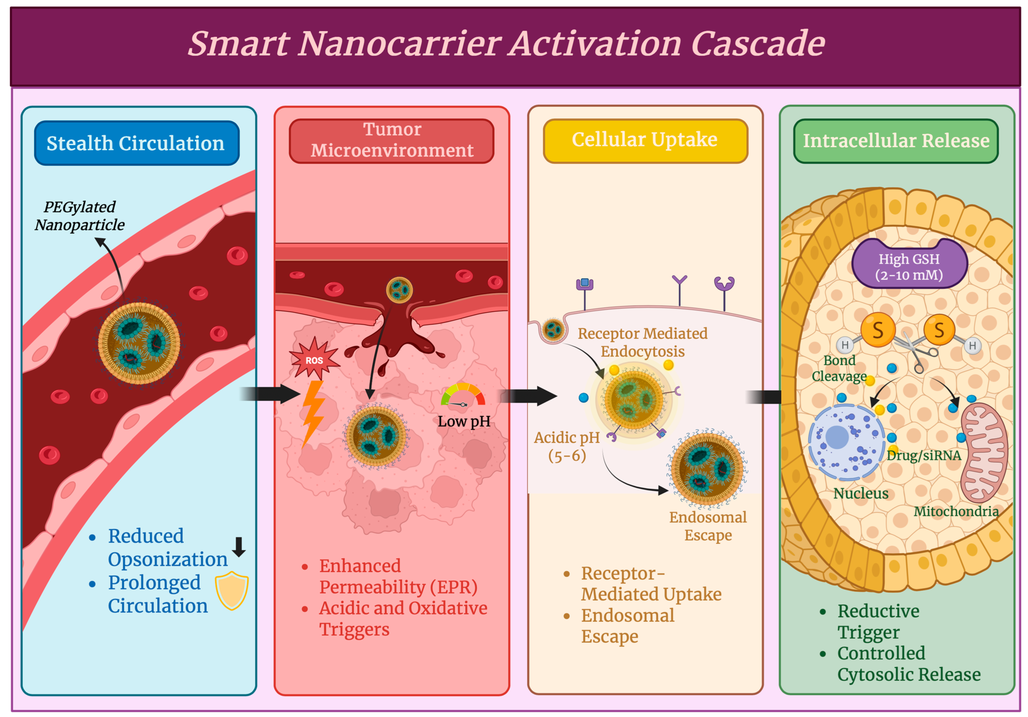 Antioxidants 15 00430 g004