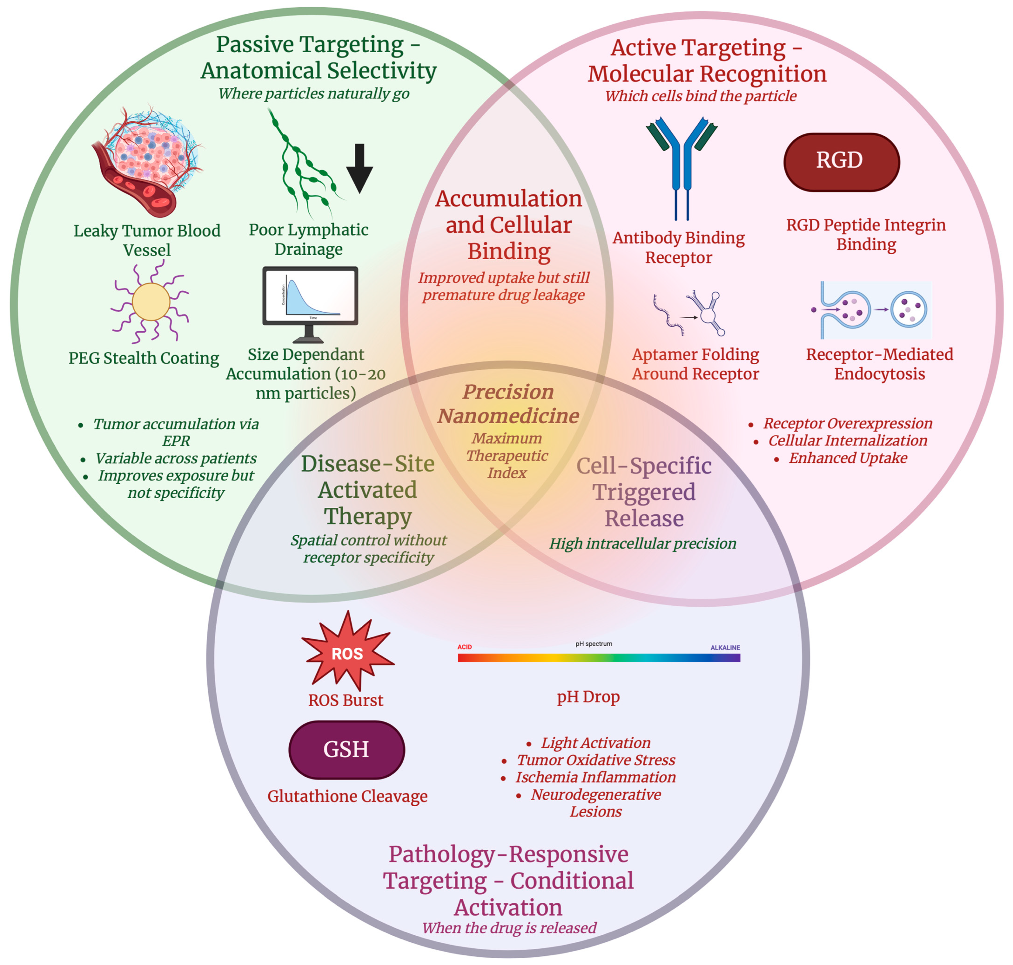 Antioxidants 15 00430 g005