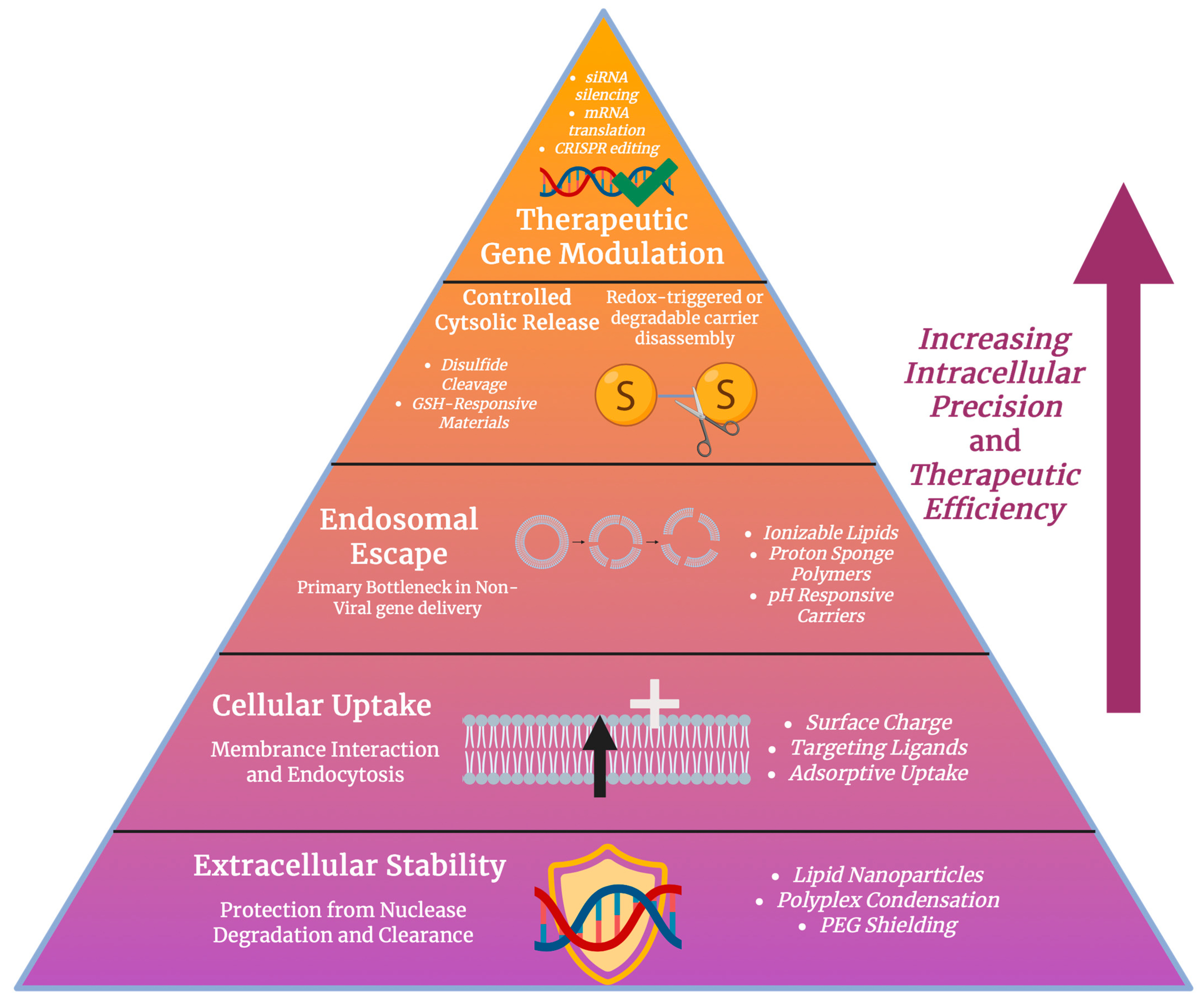 Antioxidants 15 00430 g006