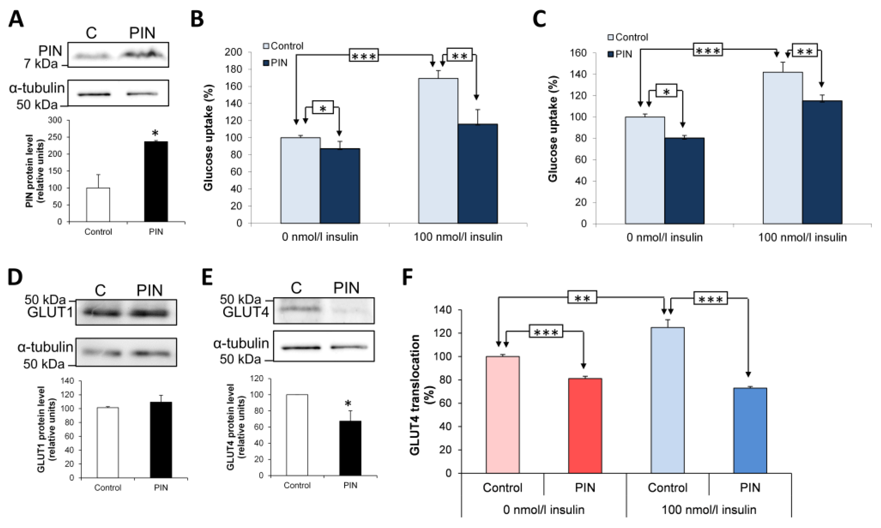 Antioxidants 15 00436 g002 Antioxidants 15 00436 g002