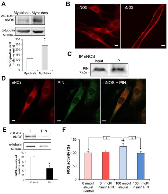 Antioxidants 15 00436 g003