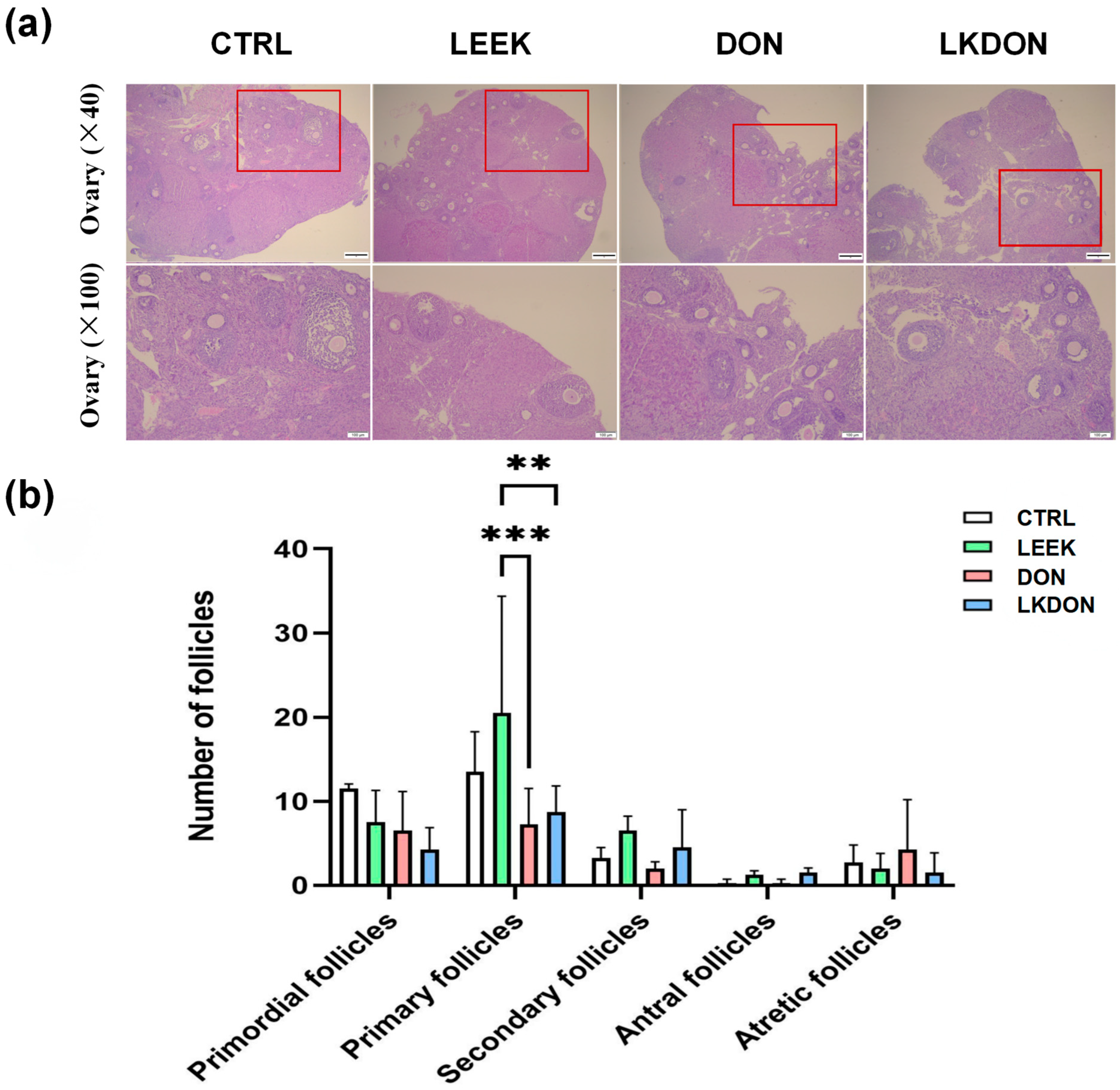 Antioxidants 15 00442 g002 Antioxidants 15 00442 g002