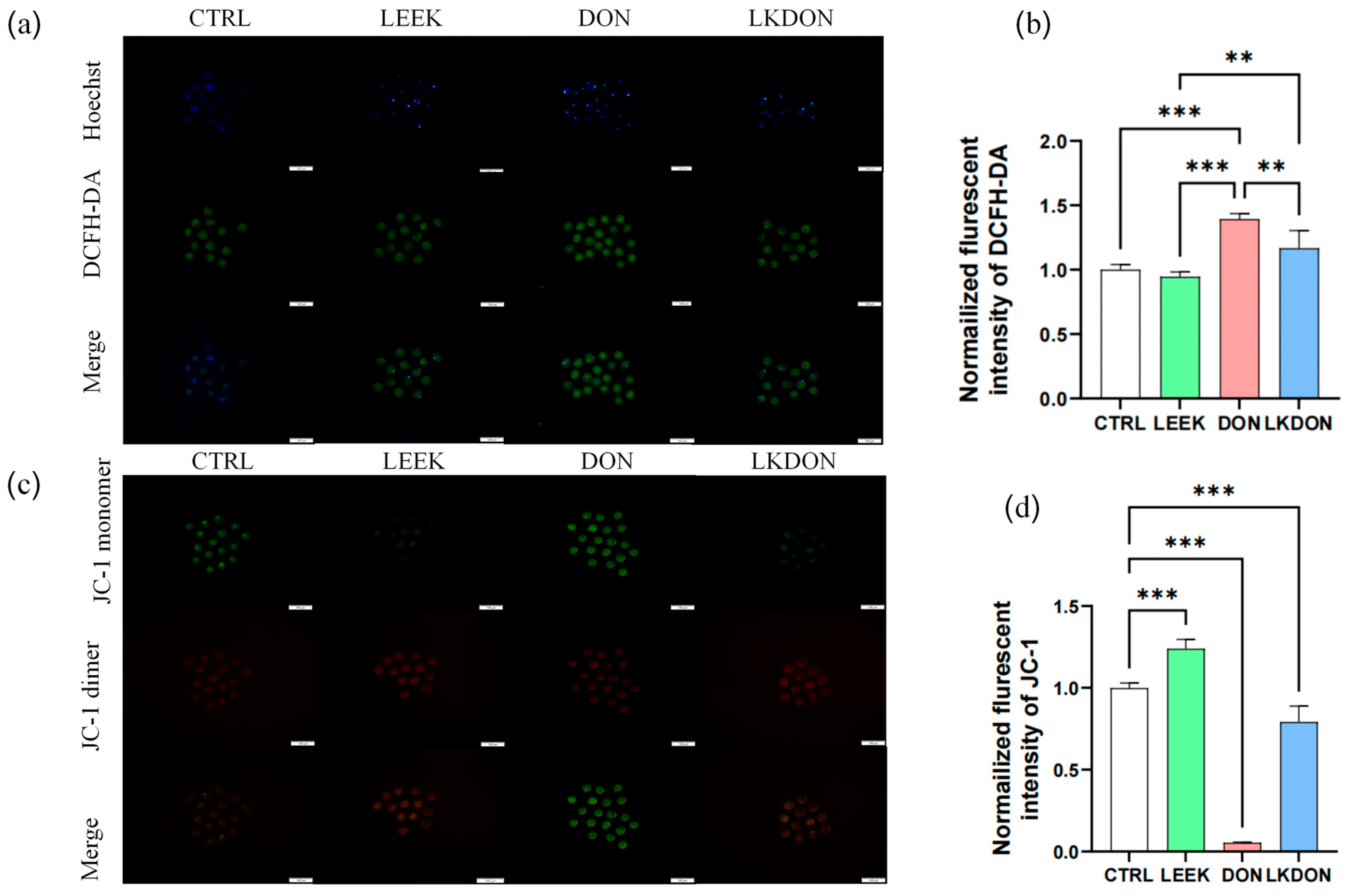 Antioxidants 15 00442 g003 Antioxidants 15 00442 g003