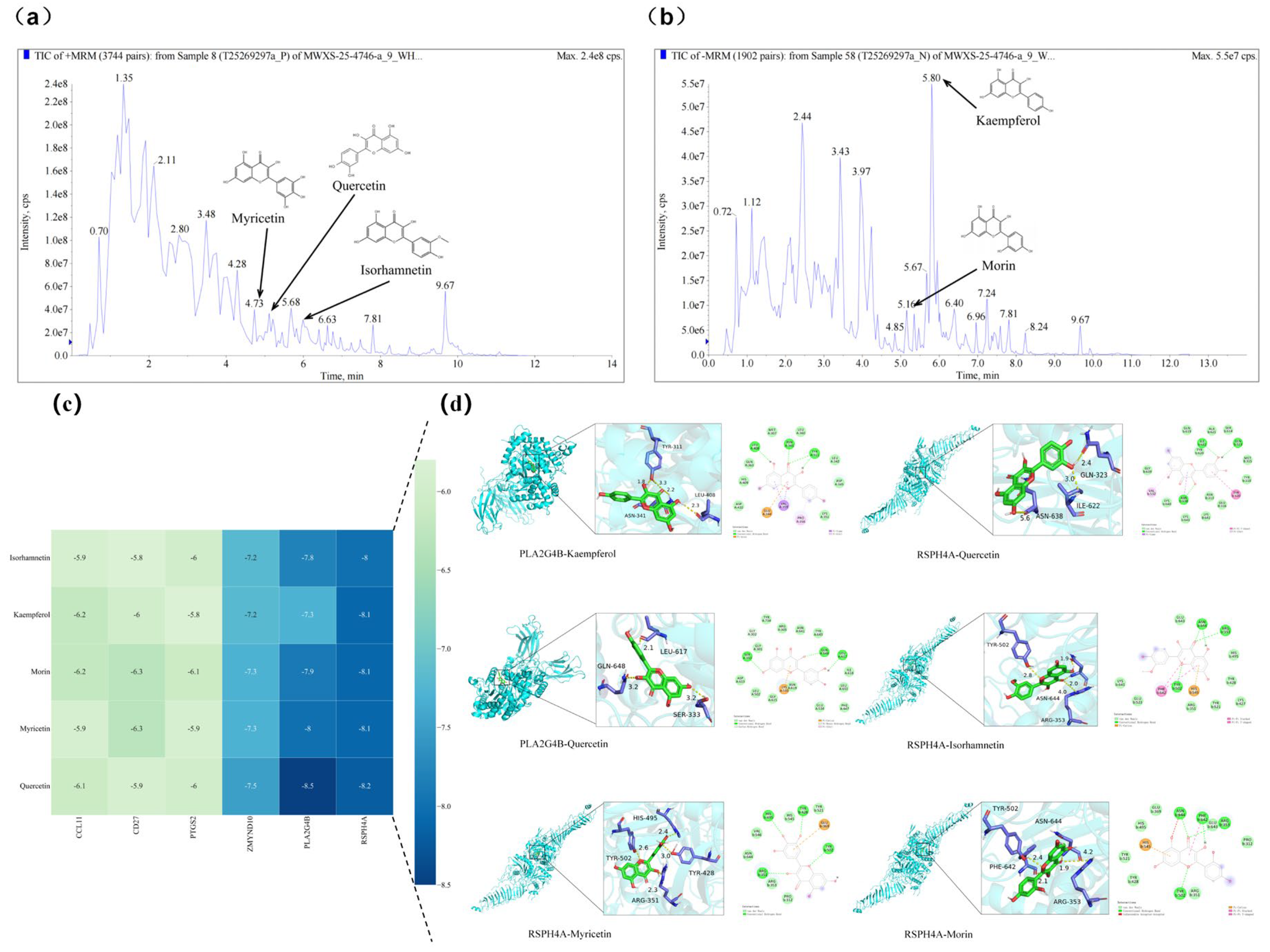 Antioxidants 15 00442 g008 Antioxidants 15 00442 g008