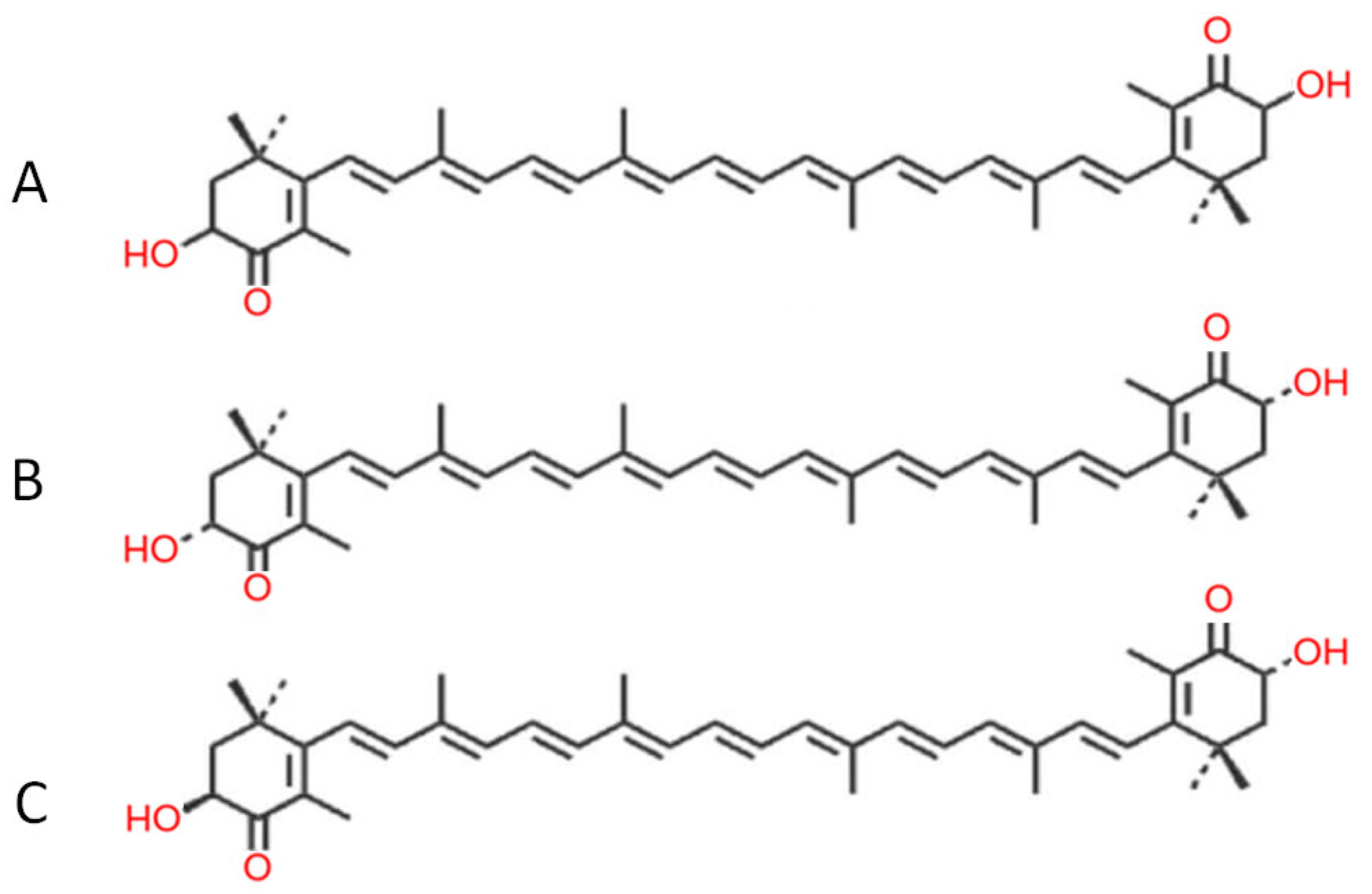 Antioxidants 15 00575 g001 Antioxidants 15 00575 g001