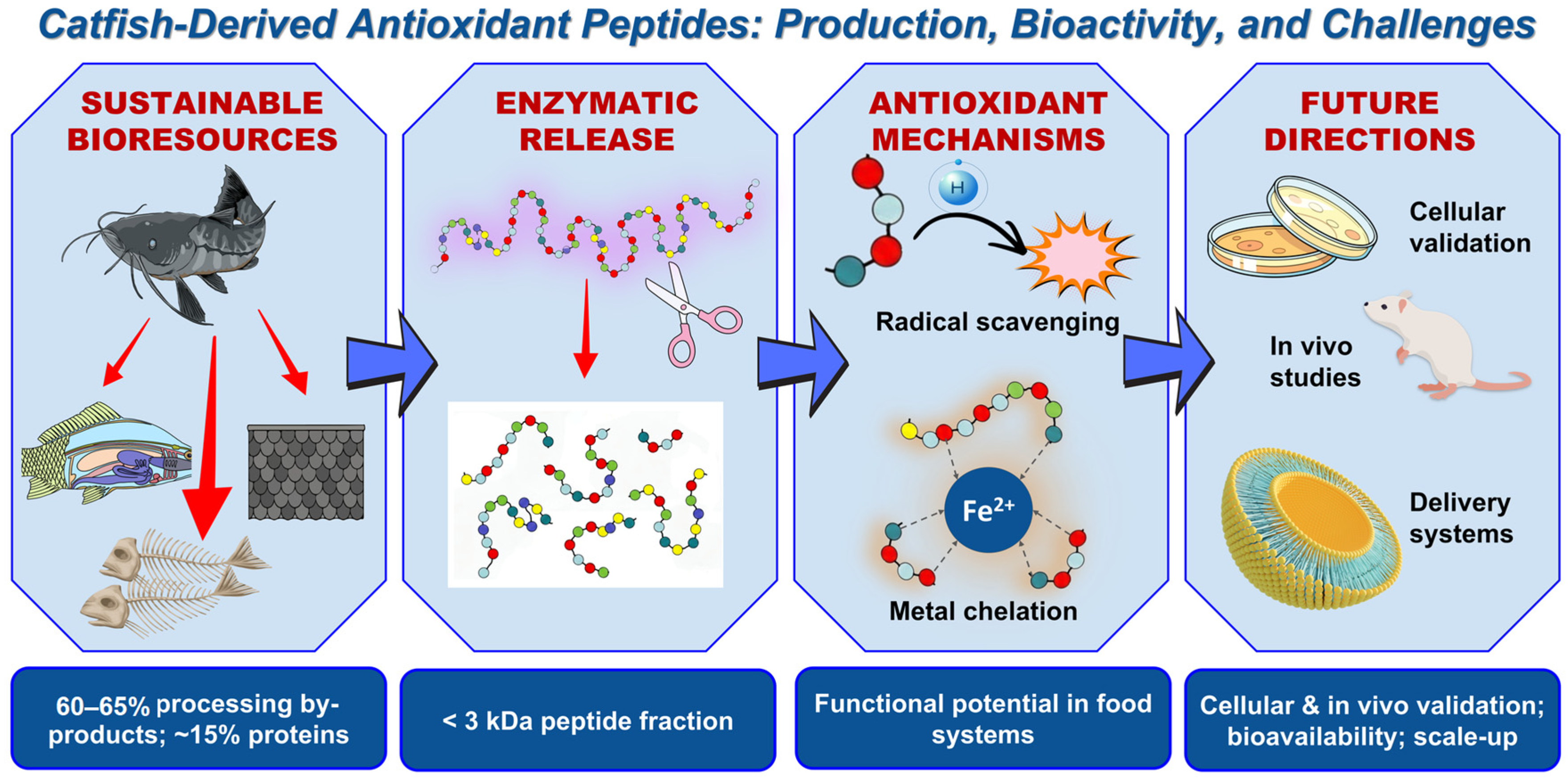 Antioxidants 15 00631 g003 Antioxidants 15 00631 g003