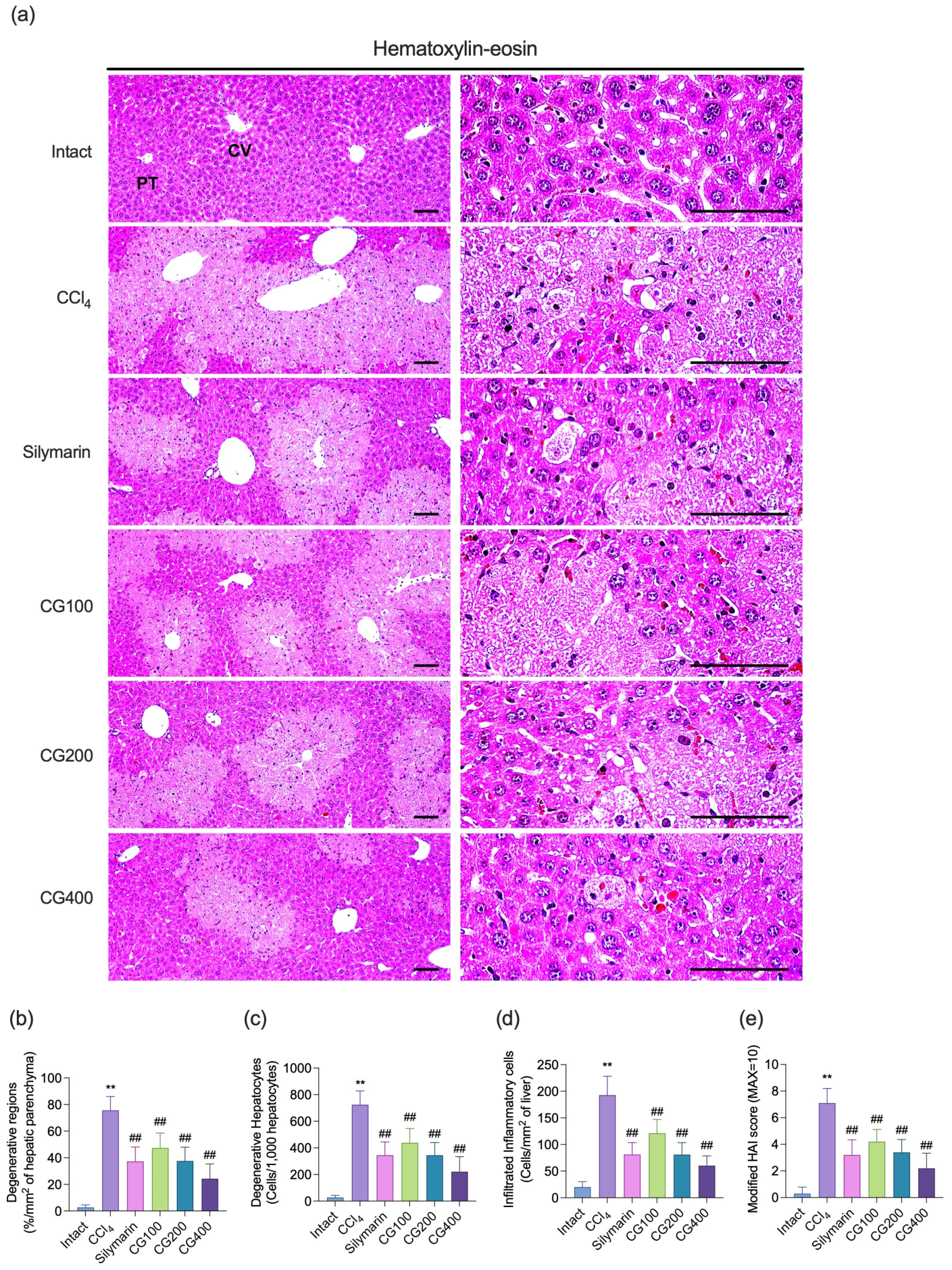 Antioxidants 15 00651 g005