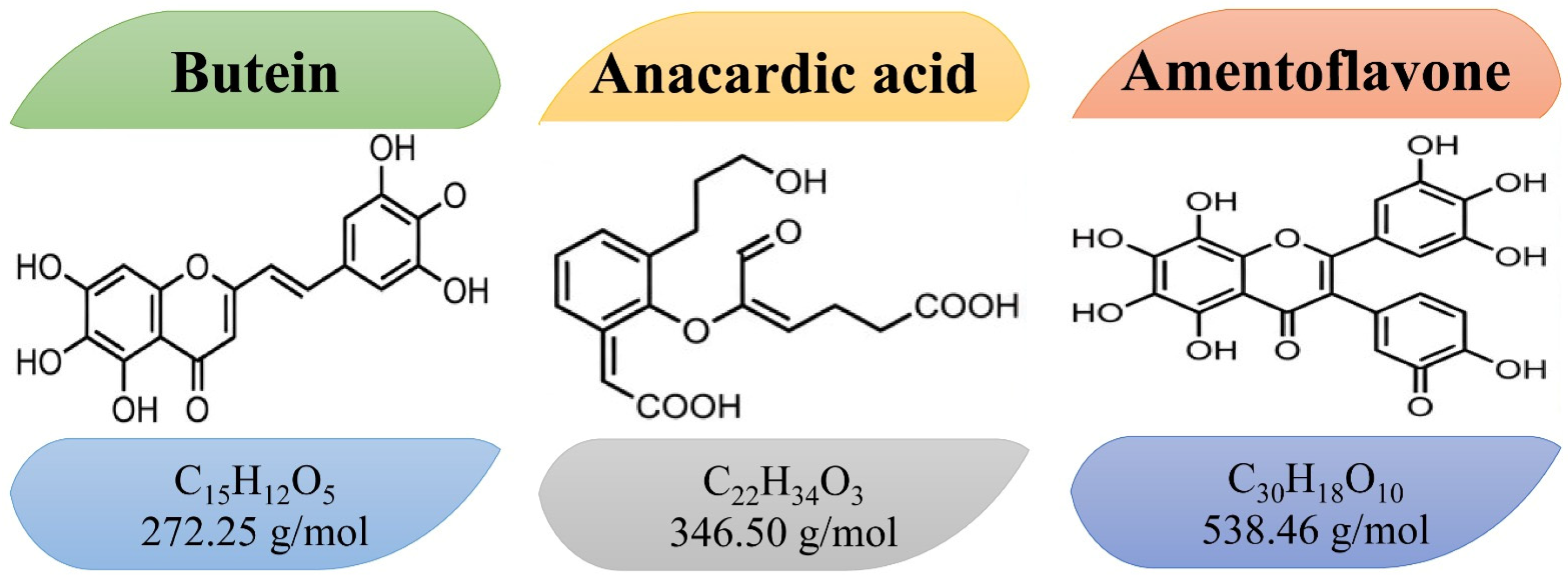 Antioxidants 15 00660 g002 Antioxidants 15 00660 g002
