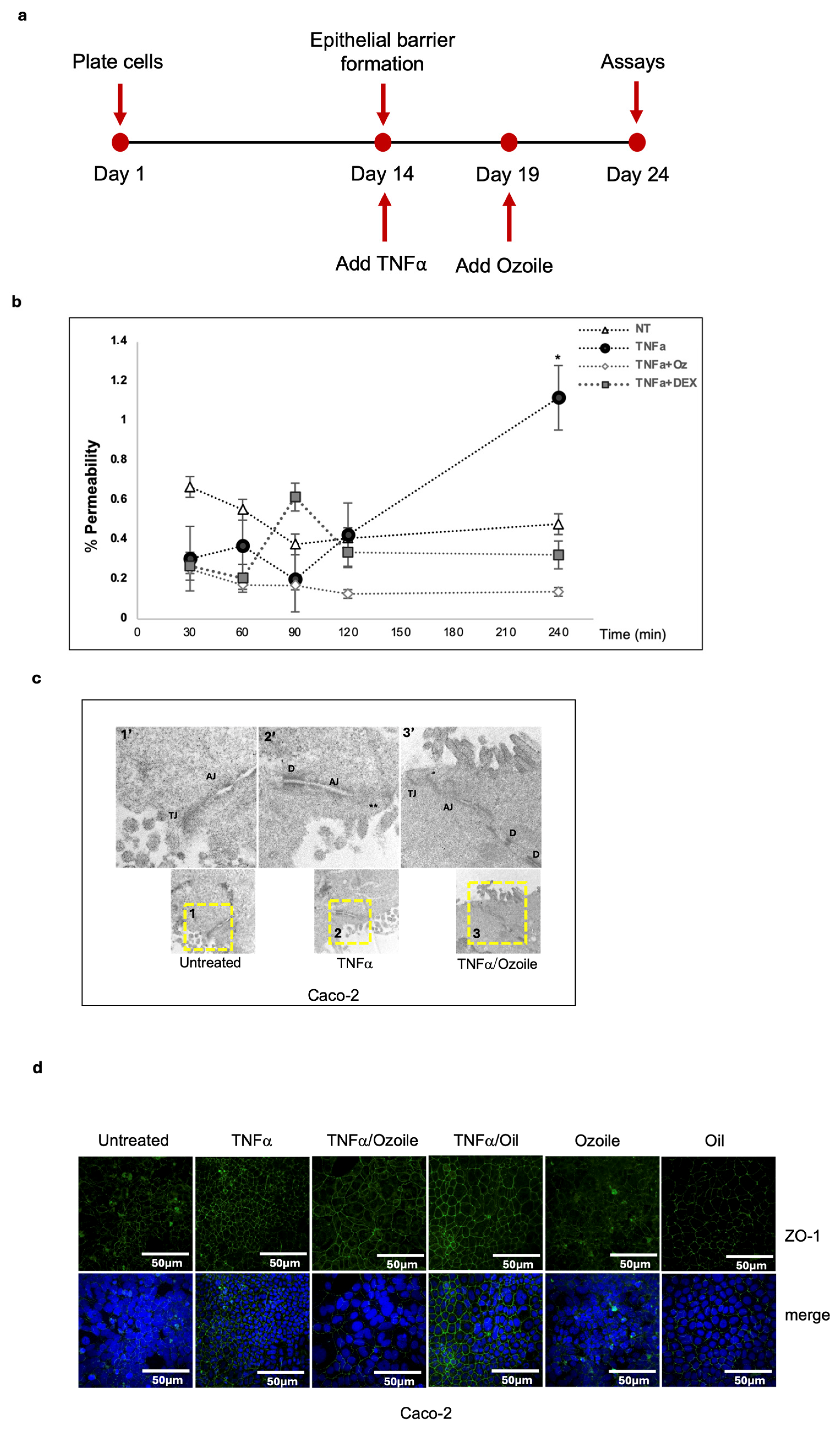 Antioxidants 15 00664 g003 Antioxidants 15 00664 g003