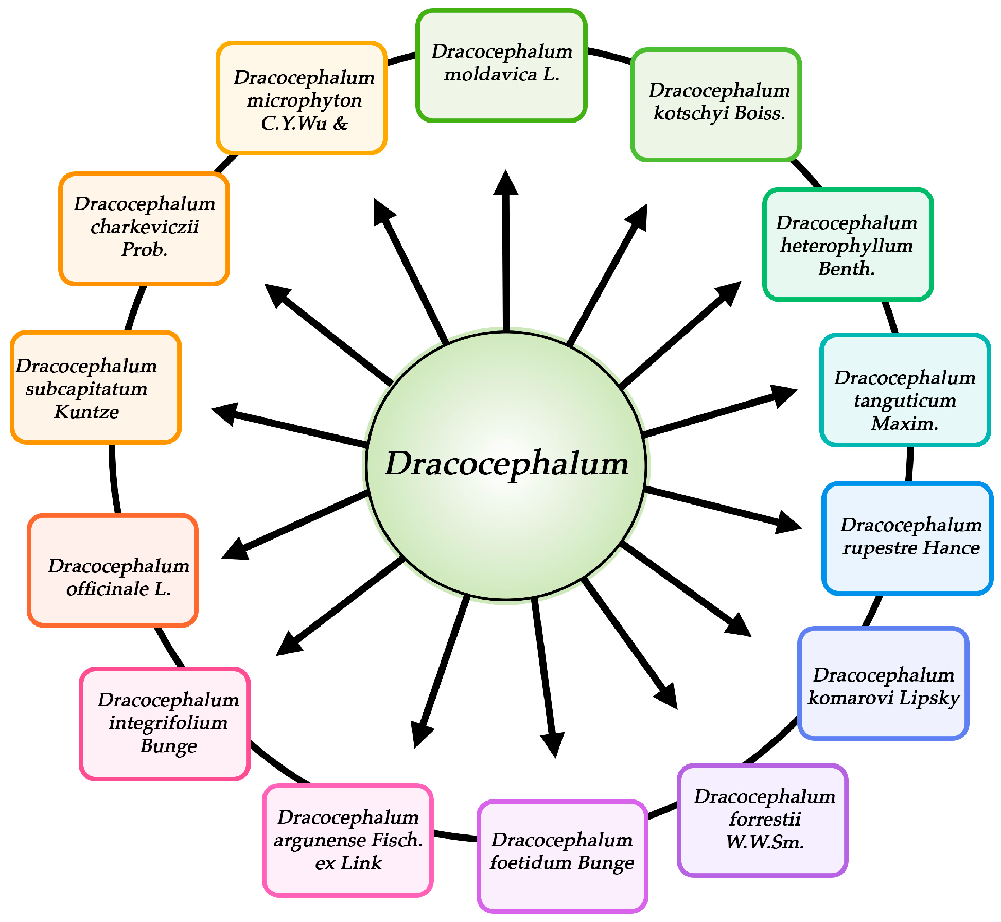Antioxidants 15 00771 g001 Antioxidants 15 00771 g001