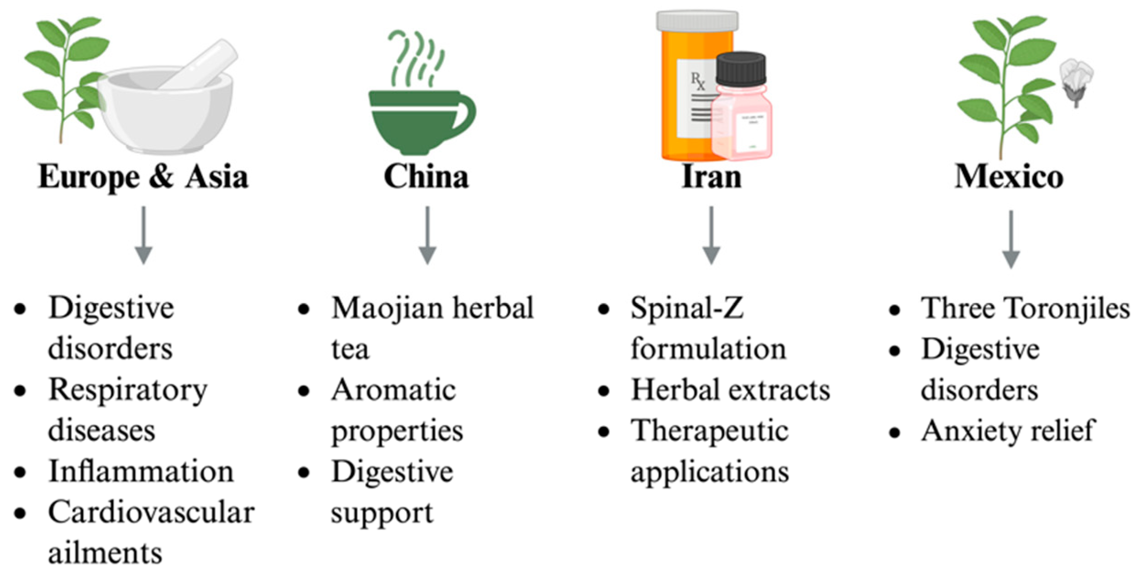 Antioxidants 15 00771 g002 Antioxidants 15 00771 g002