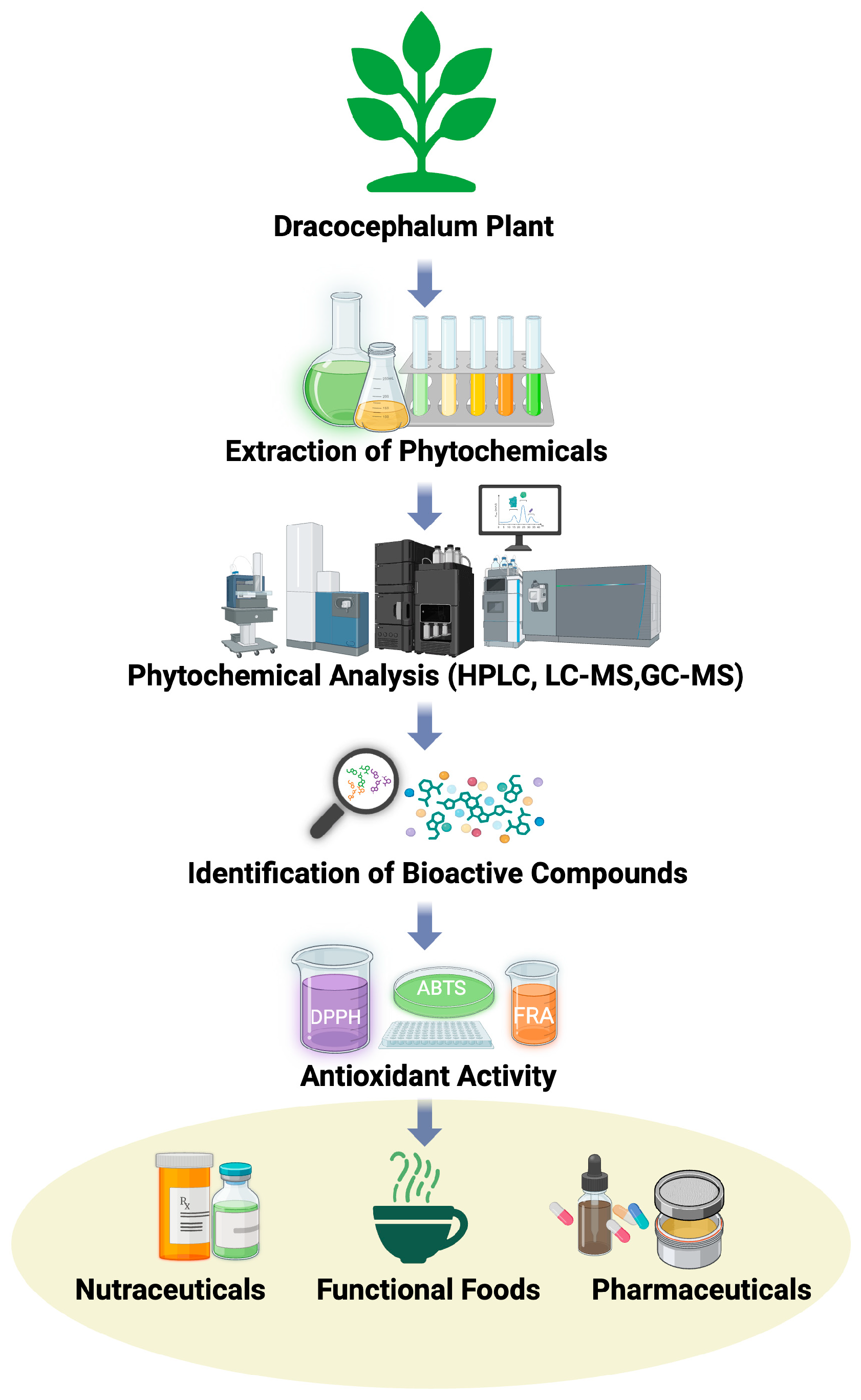 Antioxidants 15 00771 g011 Antioxidants 15 00771 g011