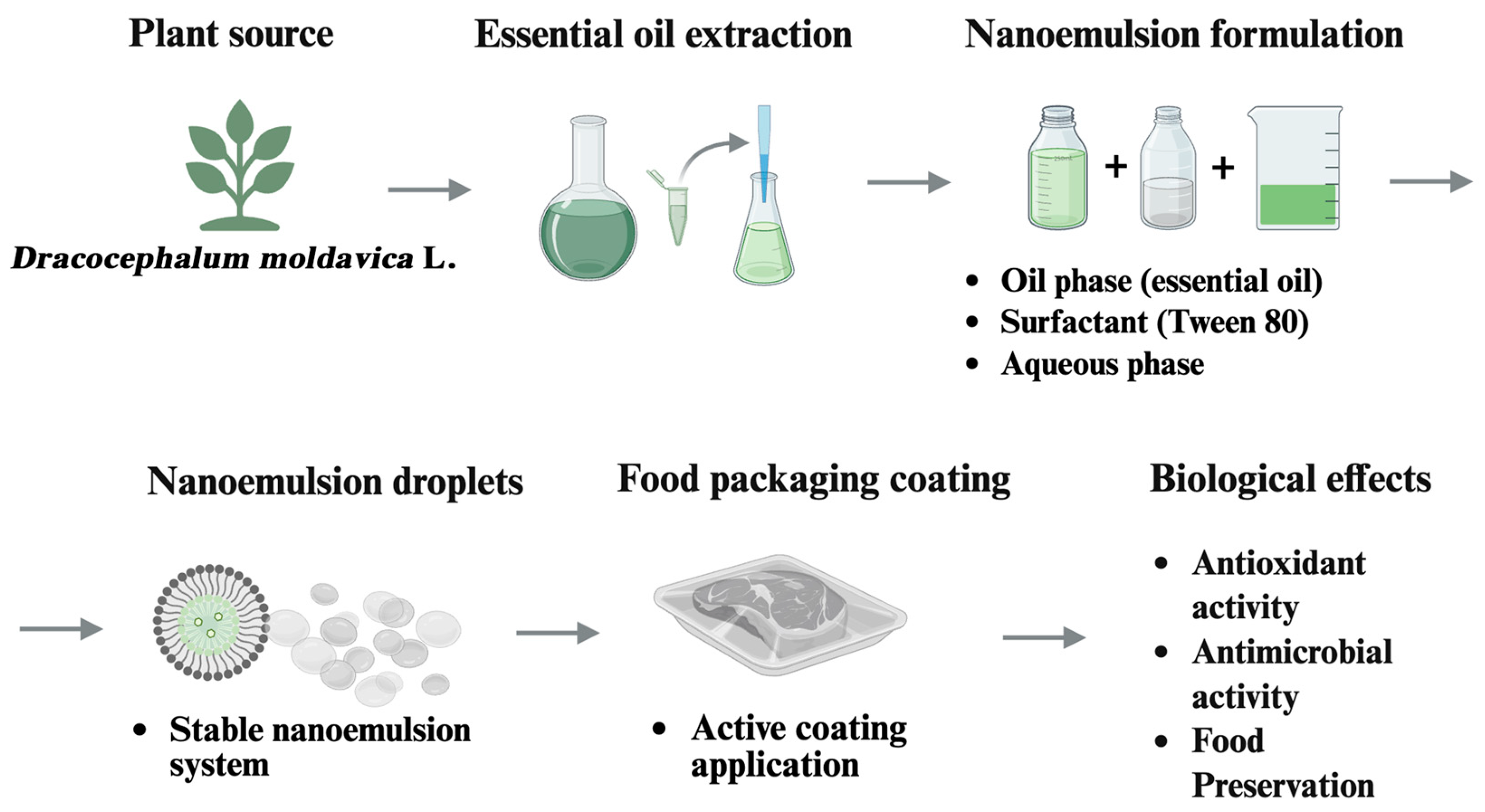 Antioxidants 15 00771 g014 Antioxidants 15 00771 g014