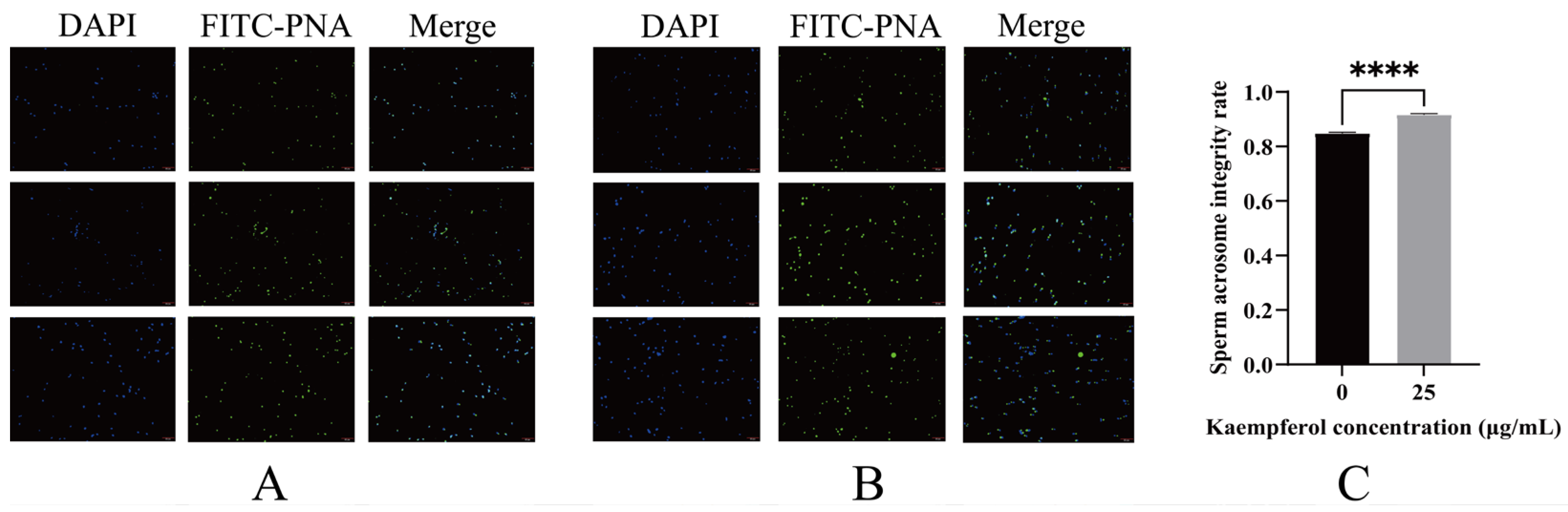Antioxidants 15 00773 g005 Antioxidants 15 00773 g005