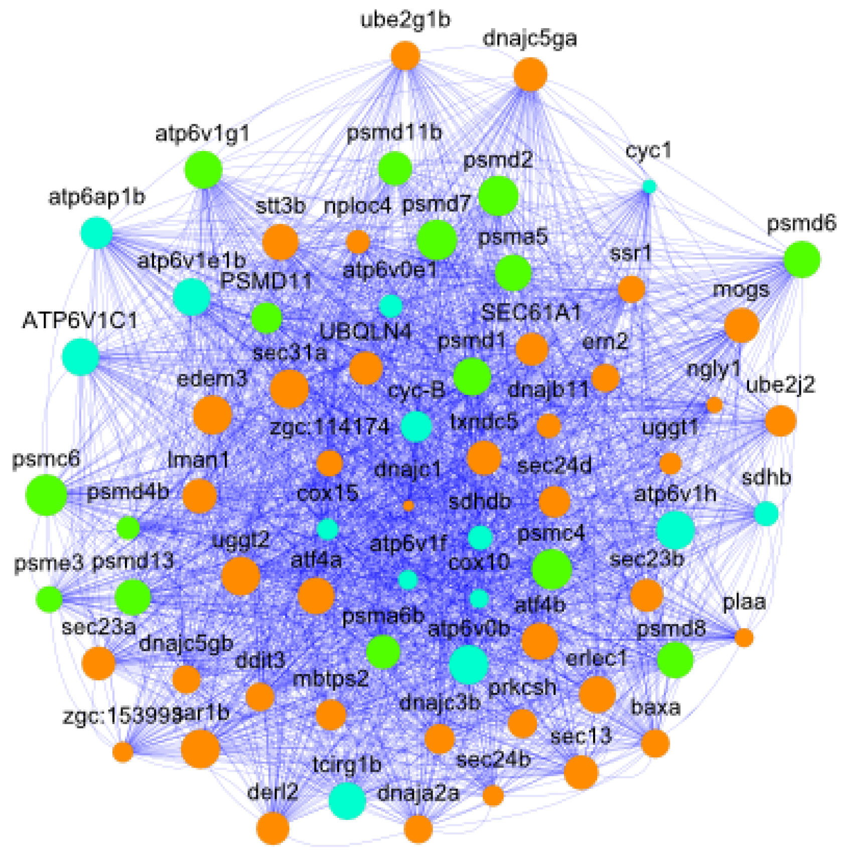 Antioxidants 15 00827 g009 Antioxidants 15 00827 g009