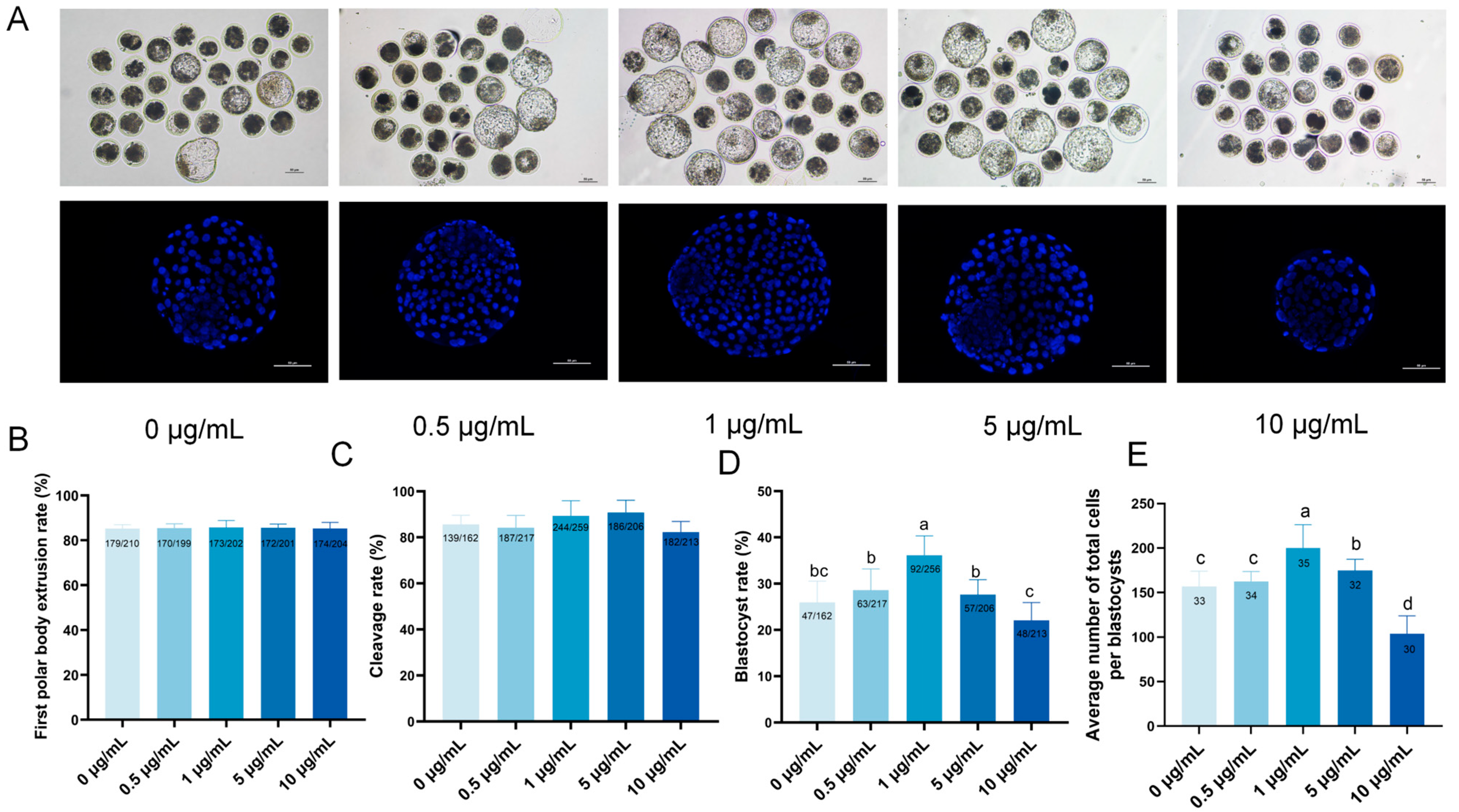 Antioxidants 15 00828 g001 Antioxidants 15 00828 g001