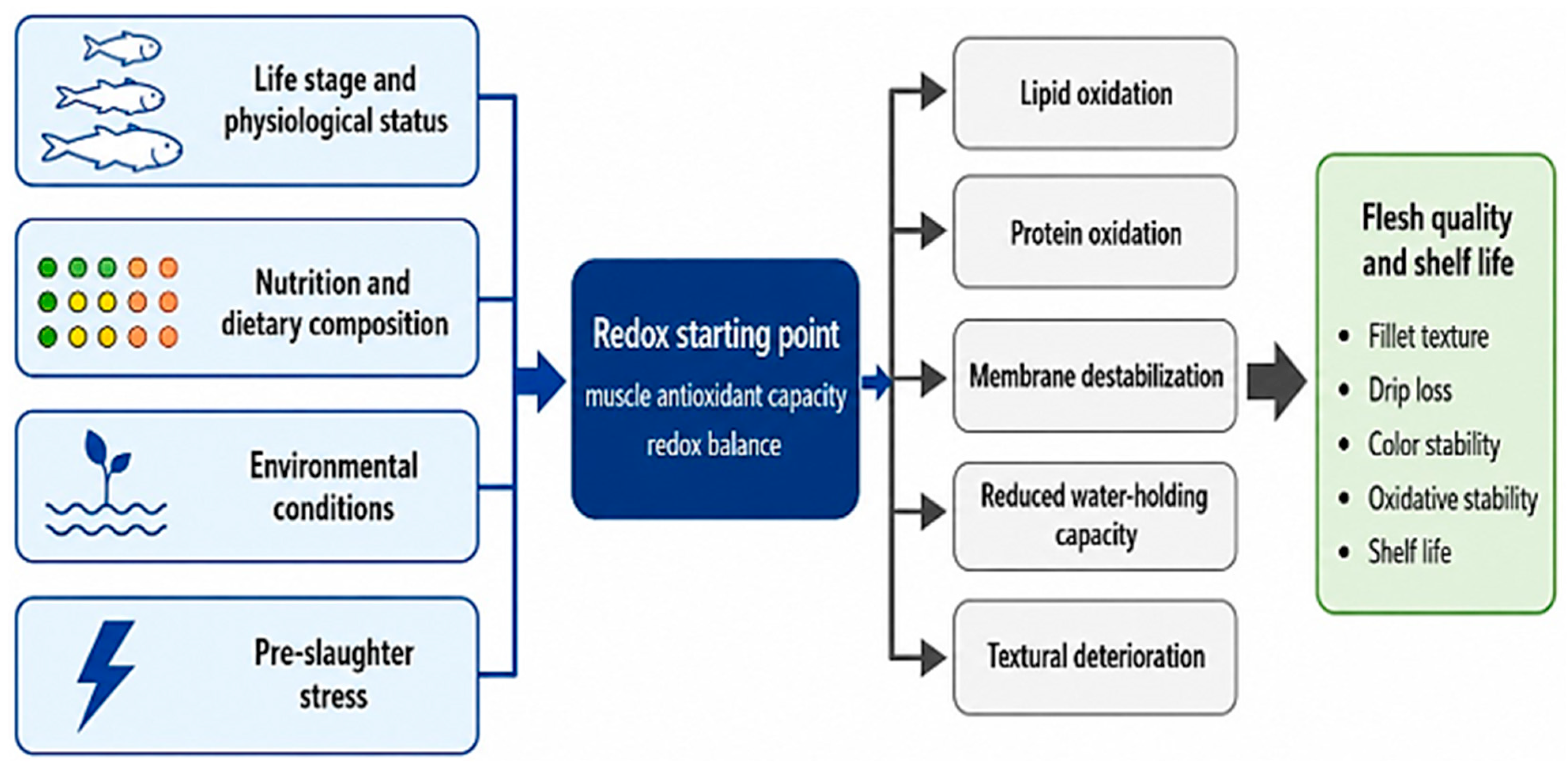 Antioxidants 15 00890 g001 Antioxidants 15 00890 g001