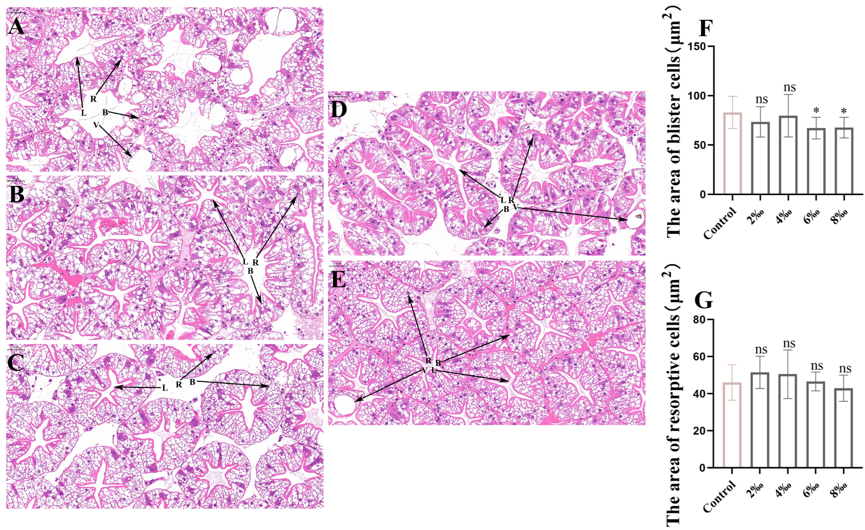 Antioxidants 15 00907 g002 Antioxidants 15 00907 g002