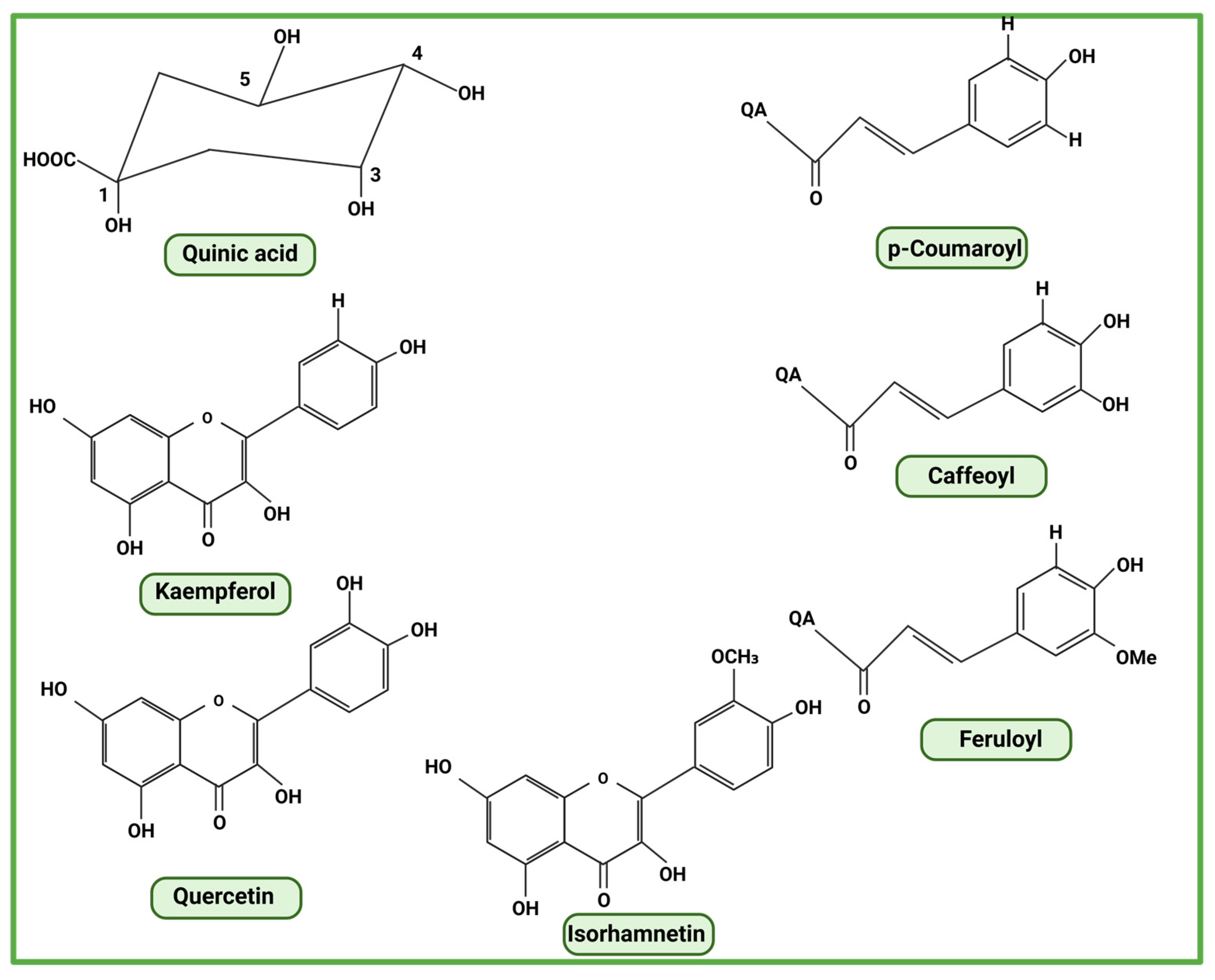 Antioxidants 15 00928 g002