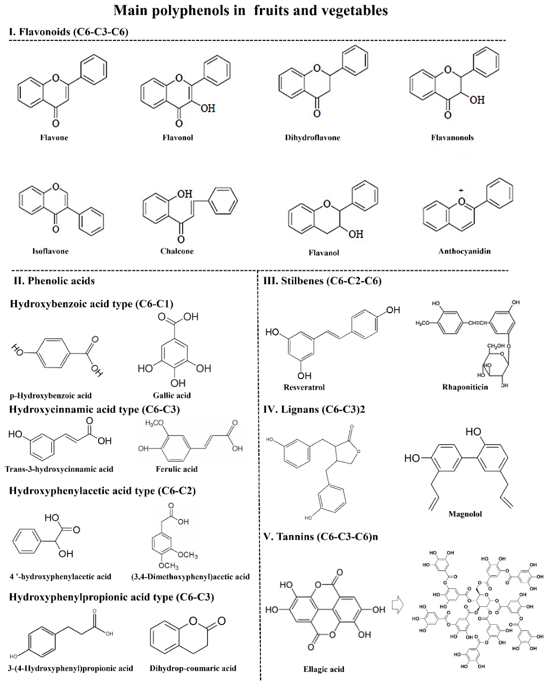 Antioxidants 15 00999 g001 Antioxidants 15 00999 g001