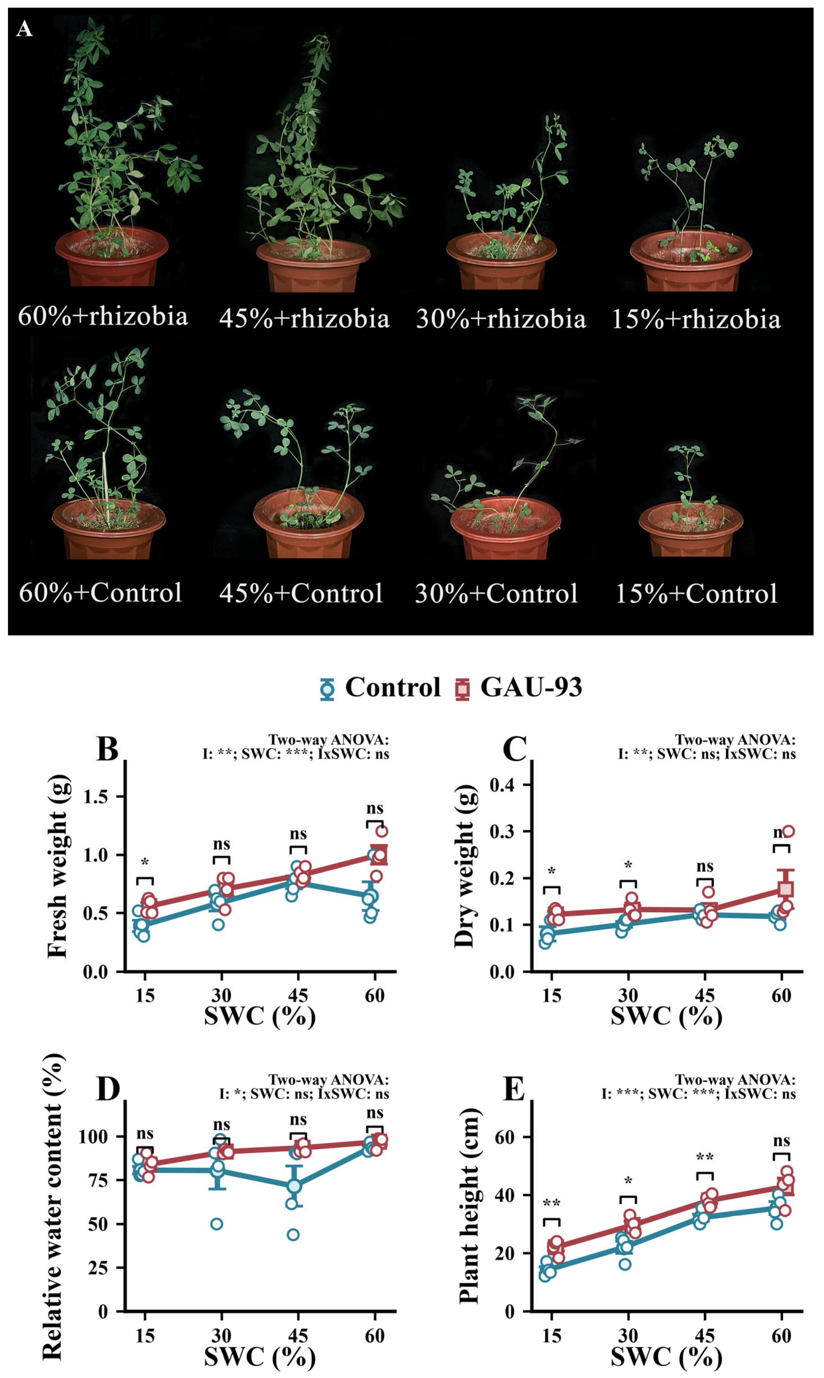 Antioxidants 15 01040 g002 Antioxidants 15 01040 g002