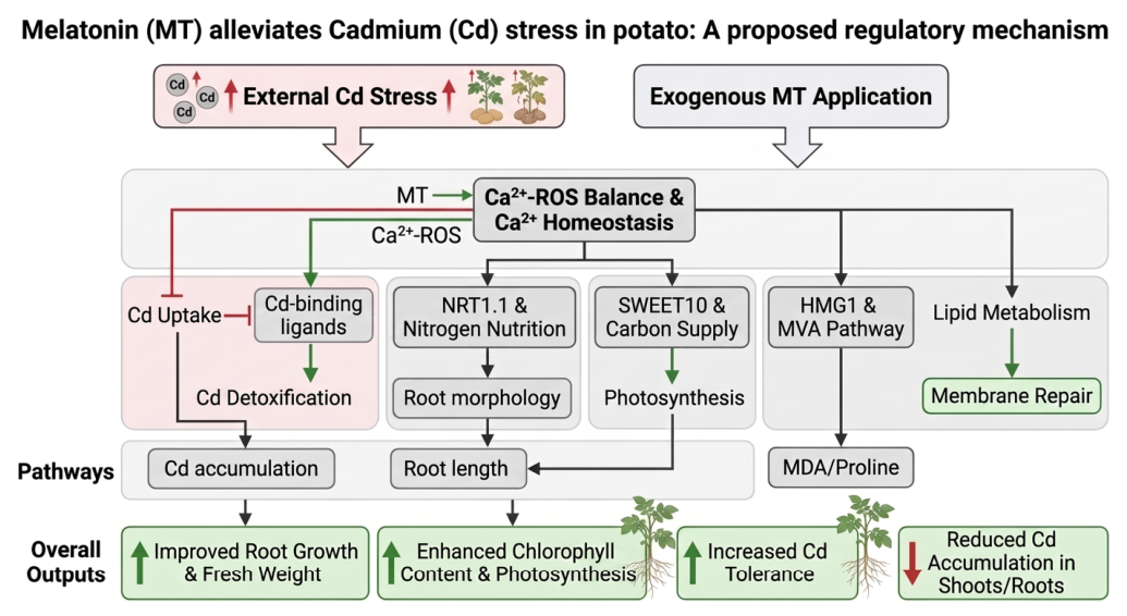 Antioxidants 15 01180 g012