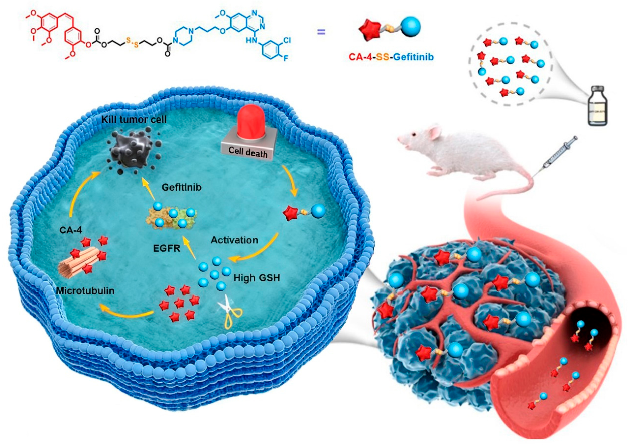 Antioxidants 15 01214 g001 Antioxidants 15 01214 g001
