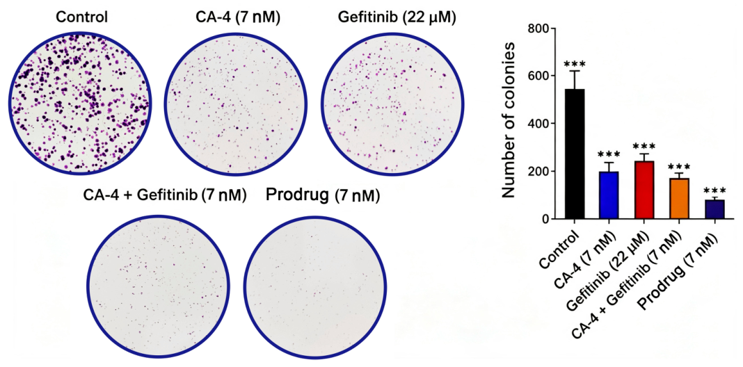 Antioxidants 15 01214 g004 Antioxidants 15 01214 g004