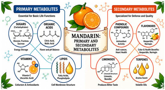 Antioxidants 15 01220 g002