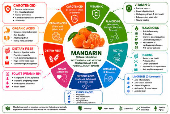 Antioxidants 15 01220 g004