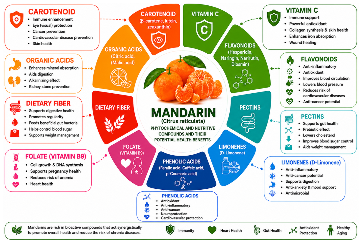 Antioxidants 15 01220 g004 Antioxidants 15 01220 g004