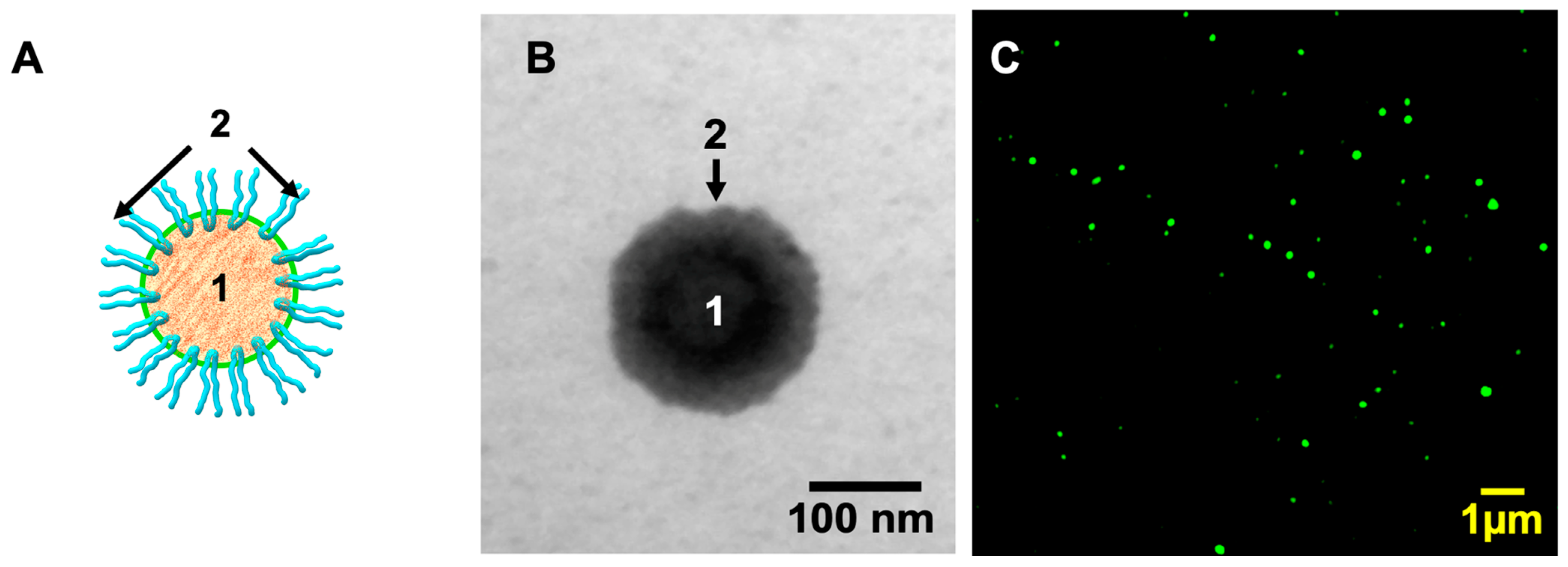 Antioxidants 15 01226 g001 Antioxidants 15 01226 g001