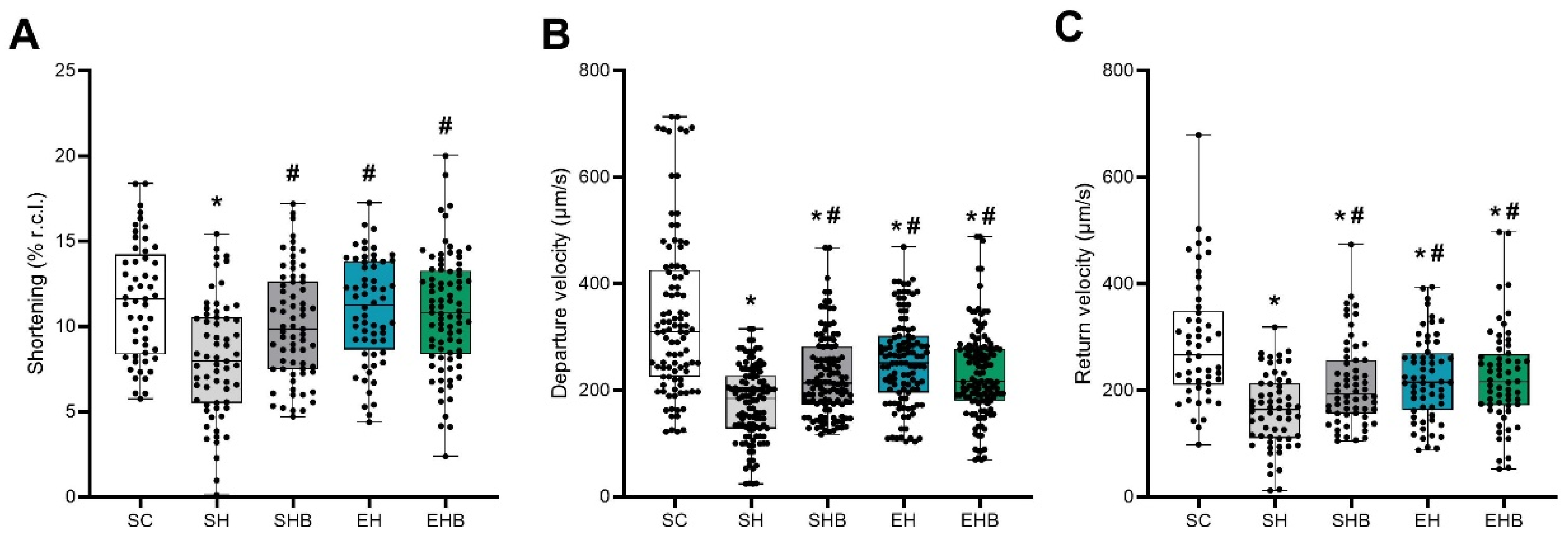 Antioxidants 15 01232 g003 Antioxidants 15 01232 g003