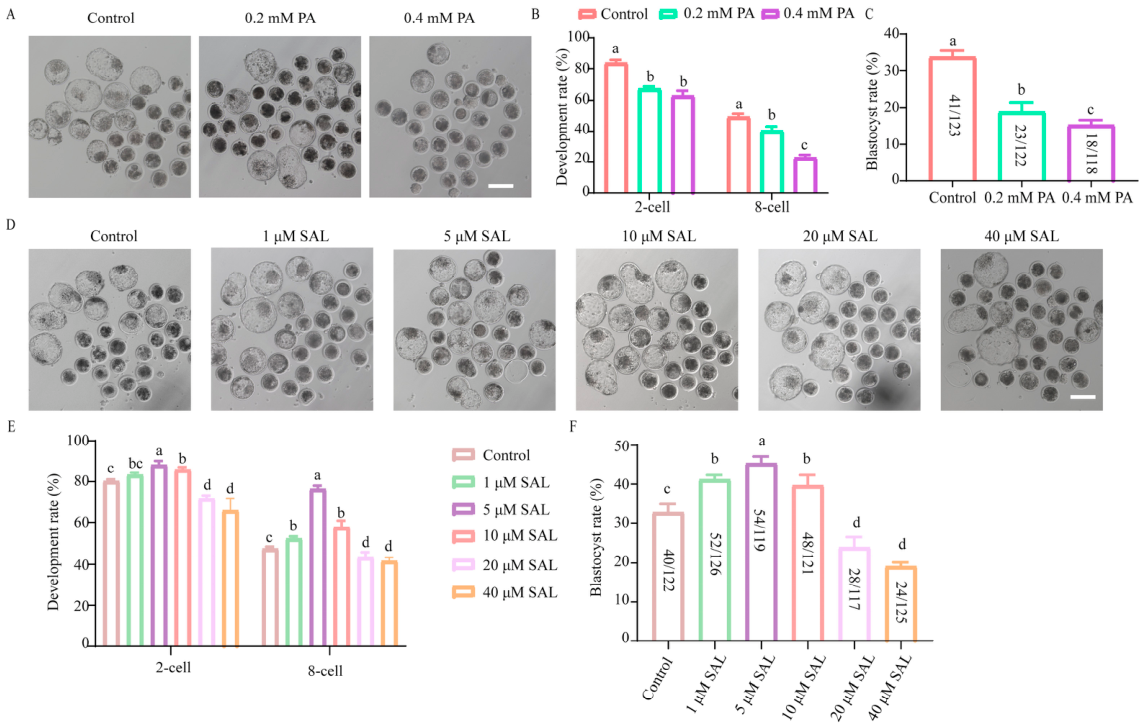 Antioxidants 15 01254 g001 Antioxidants 15 01254 g001