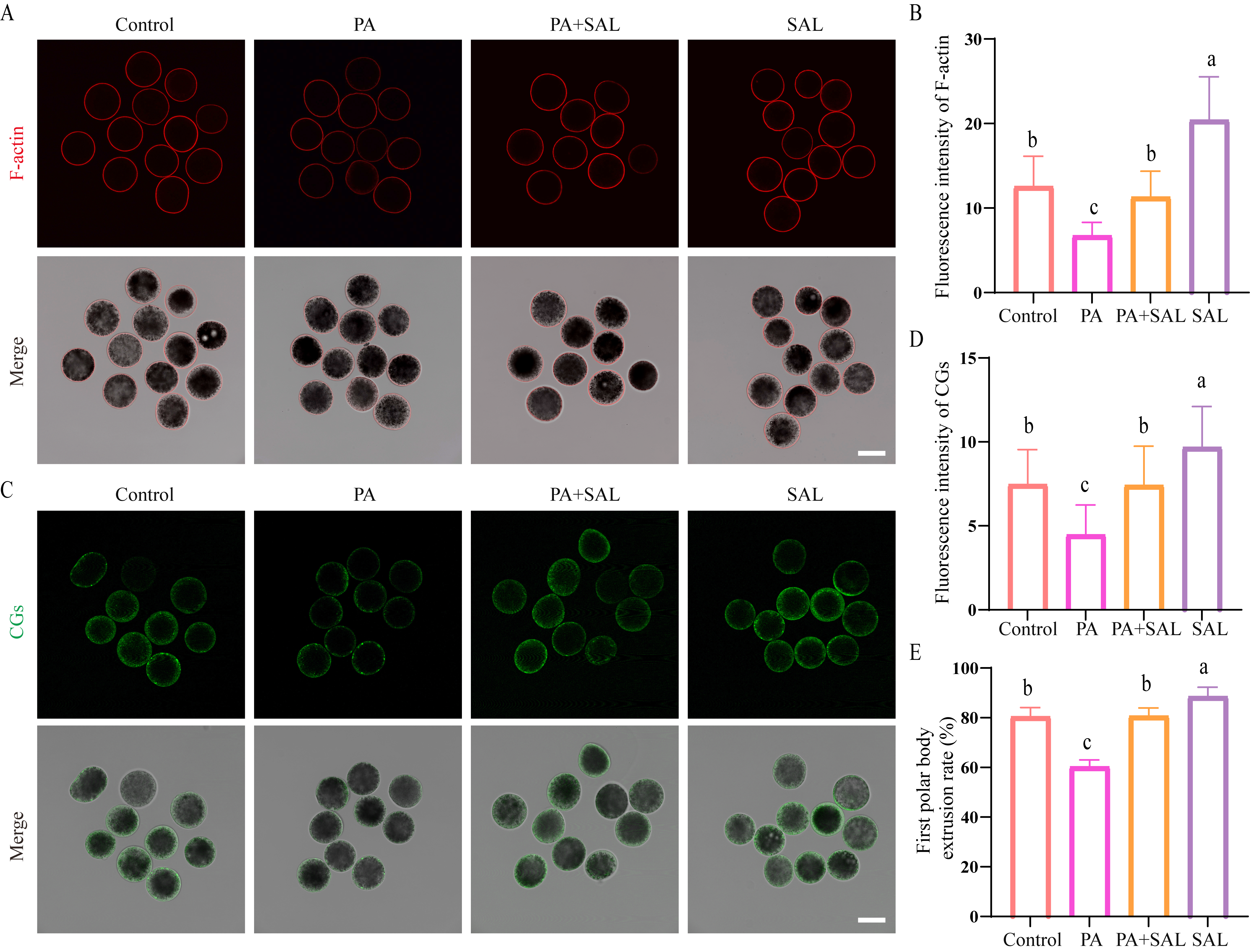 Antioxidants 15 01254 g002 Antioxidants 15 01254 g002