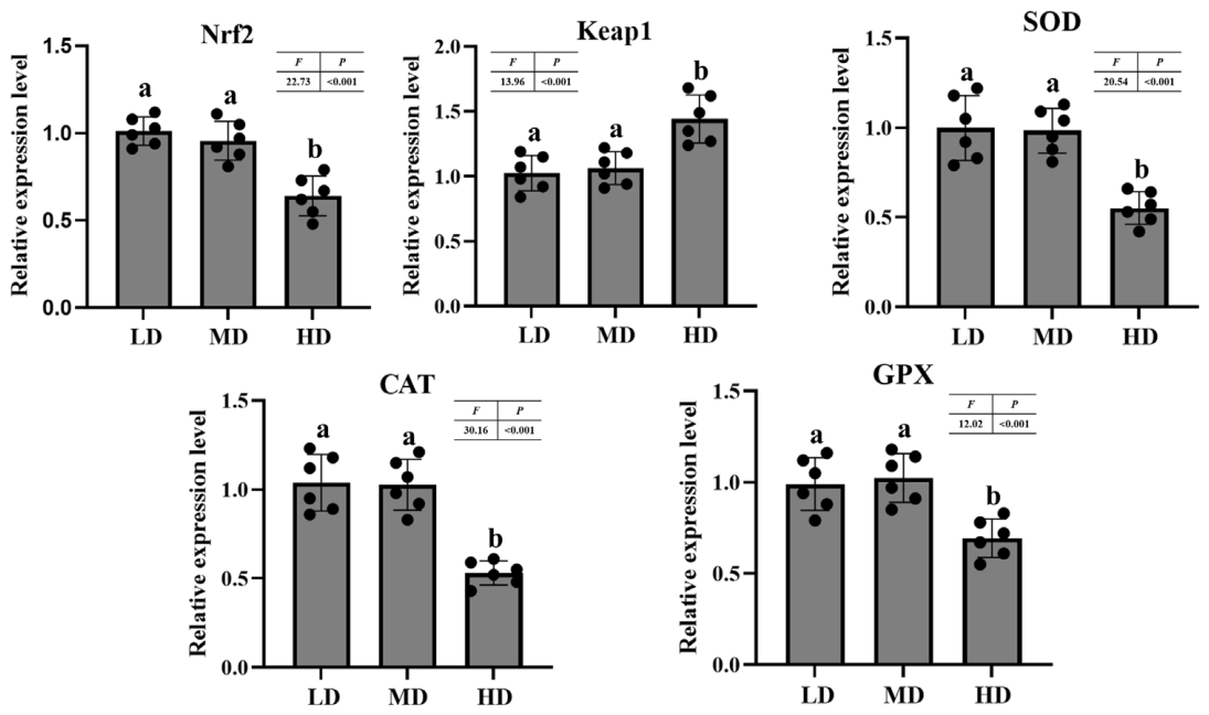 Antioxidants 15 01257 g003 Antioxidants 15 01257 g003